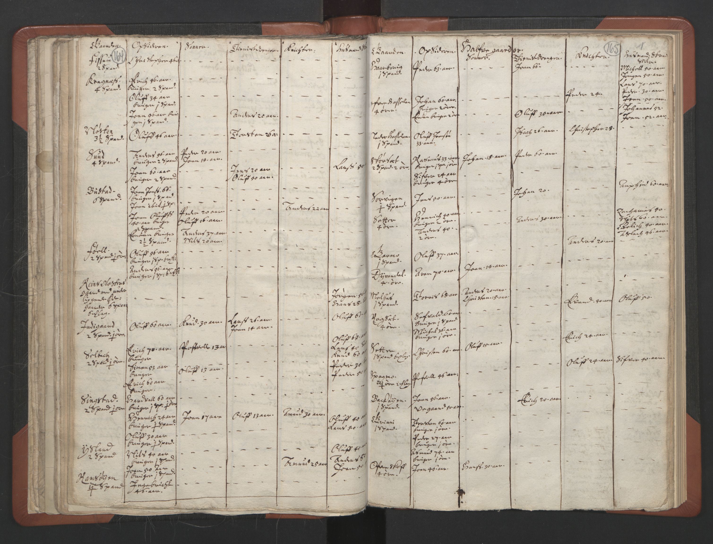 RA, Vicar's Census 1664-1666, no. 30: Fosen deanery, 1664-1666, p. 164-165