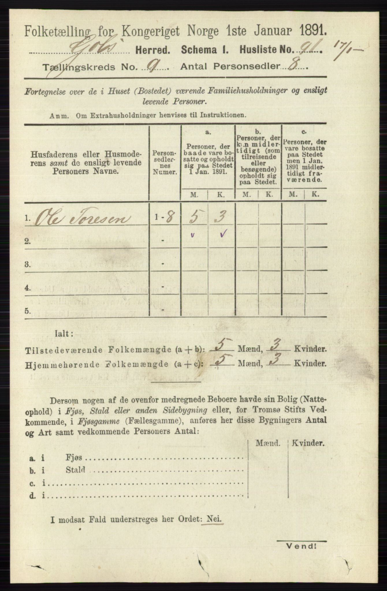 RA, 1891 census for 0617 Gol og Hemsedal, 1891, p. 3390