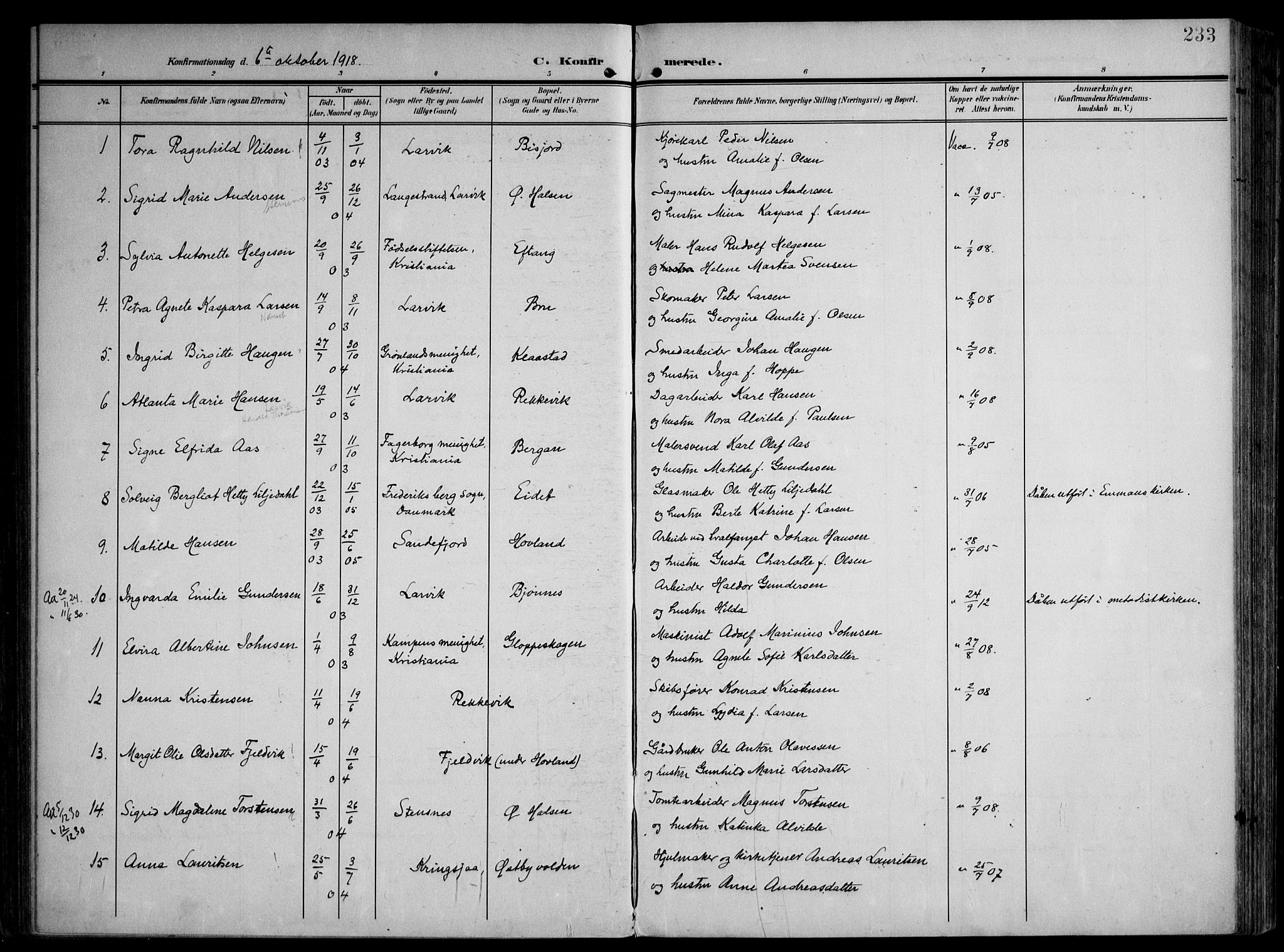 Tjølling kirkebøker, AV/SAKO-A-60/F/Fa/L0010: Parish register (official) no. 10, 1906-1923, p. 233