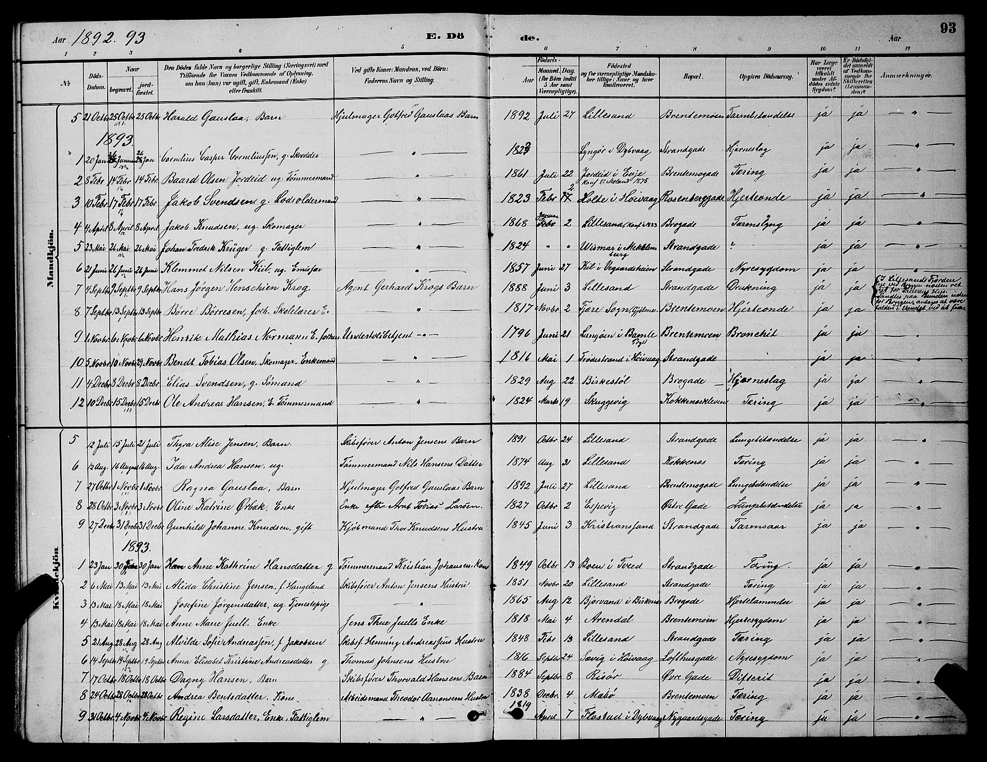 Vestre Moland sokneprestkontor, SAK/1111-0046/F/Fb/Fba/L0001: Parish register (copy) no. B 1, 1884-1903, p. 93
