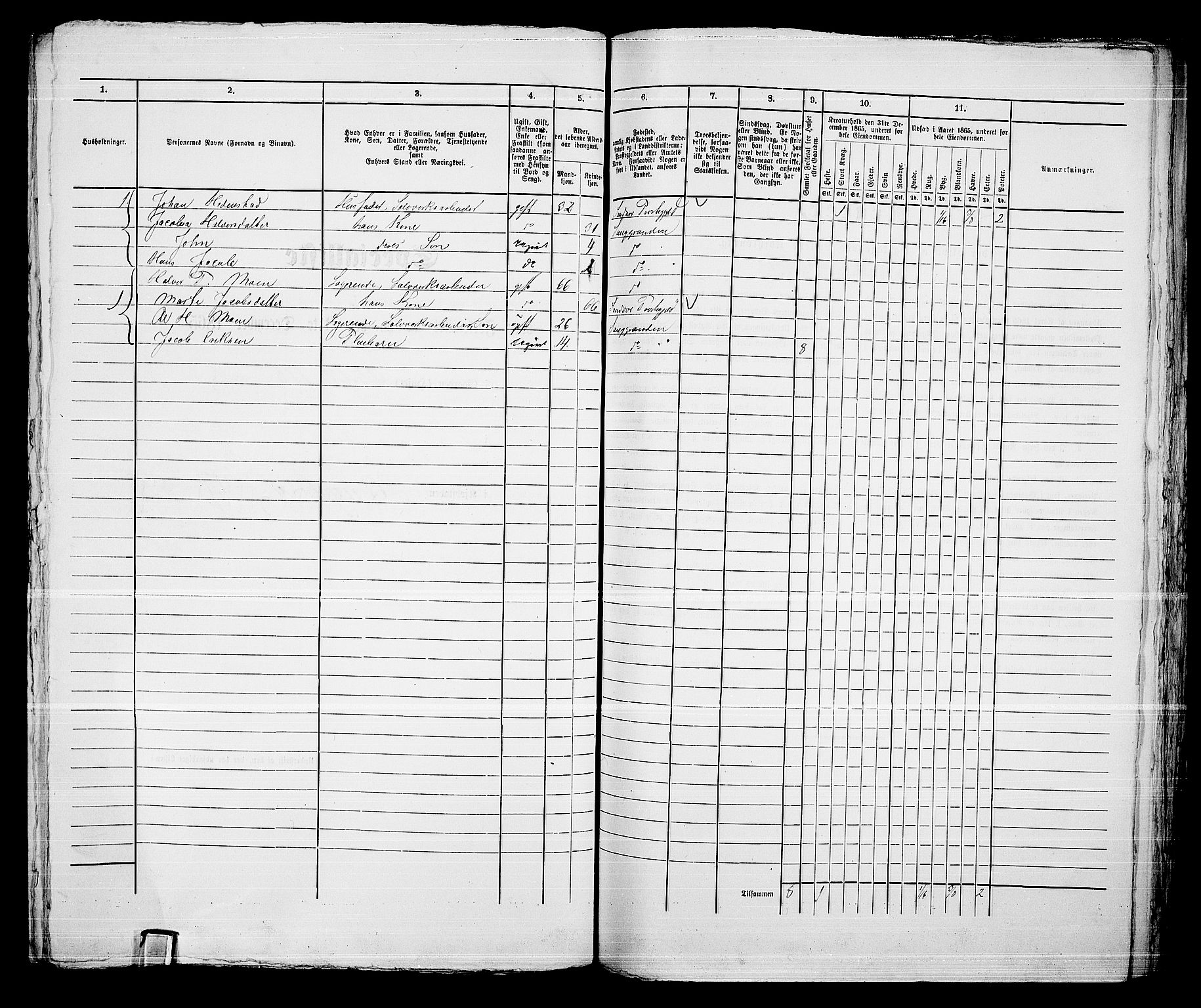 RA, 1865 census for Kongsberg/Kongsberg, 1865, p. 1353