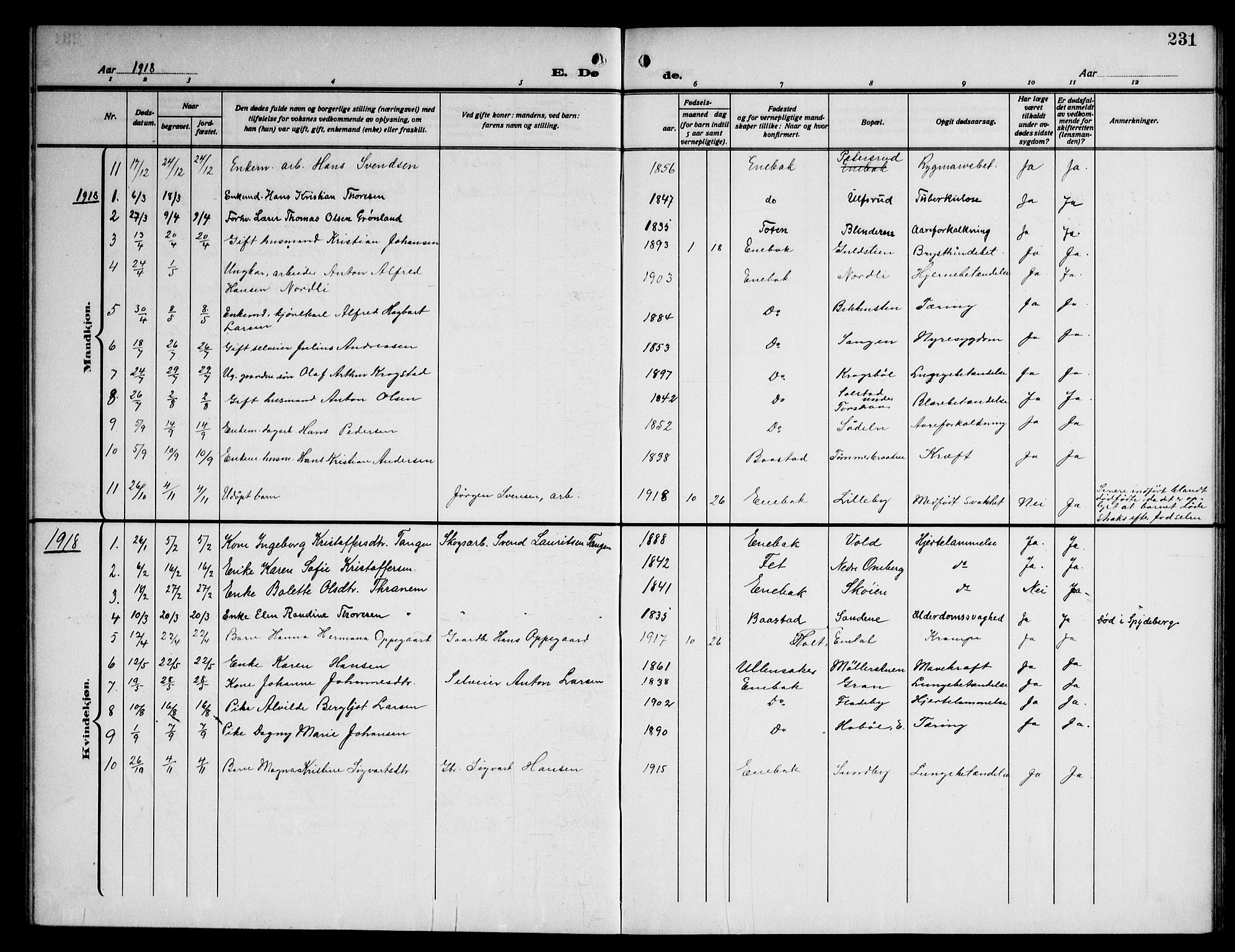 Enebakk prestekontor Kirkebøker, AV/SAO-A-10171c/G/Ga/L0007: Parish register (copy) no. I 7, 1911-1949, p. 231