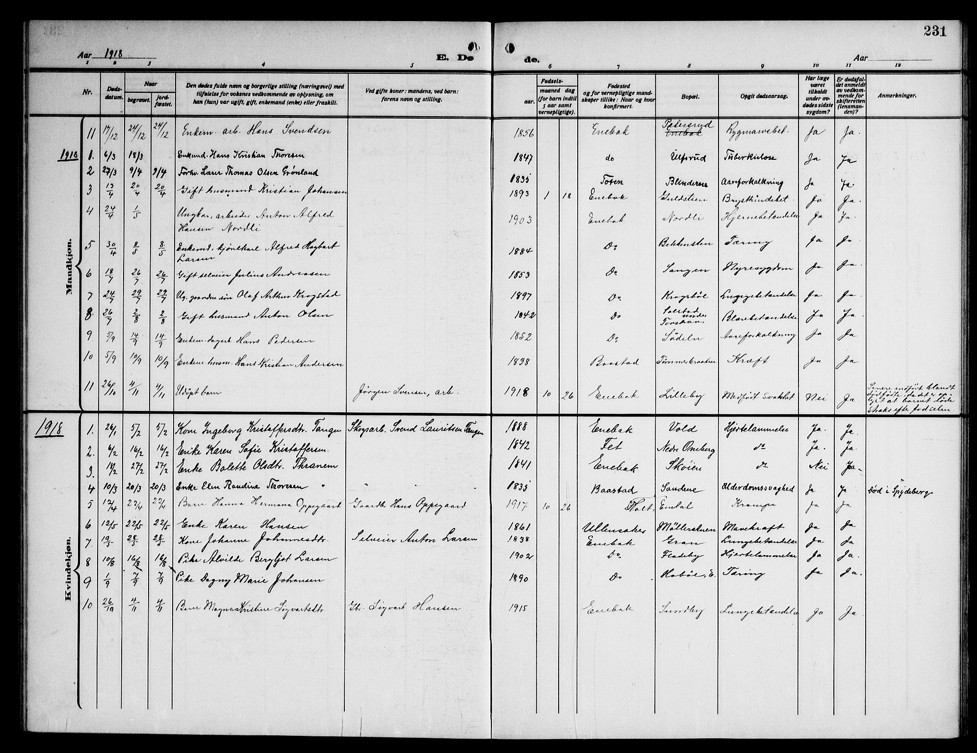 Enebakk prestekontor Kirkebøker, SAO/A-10171c/G/Ga/L0007: Parish register (copy) no. I 7, 1911-1949, p. 231