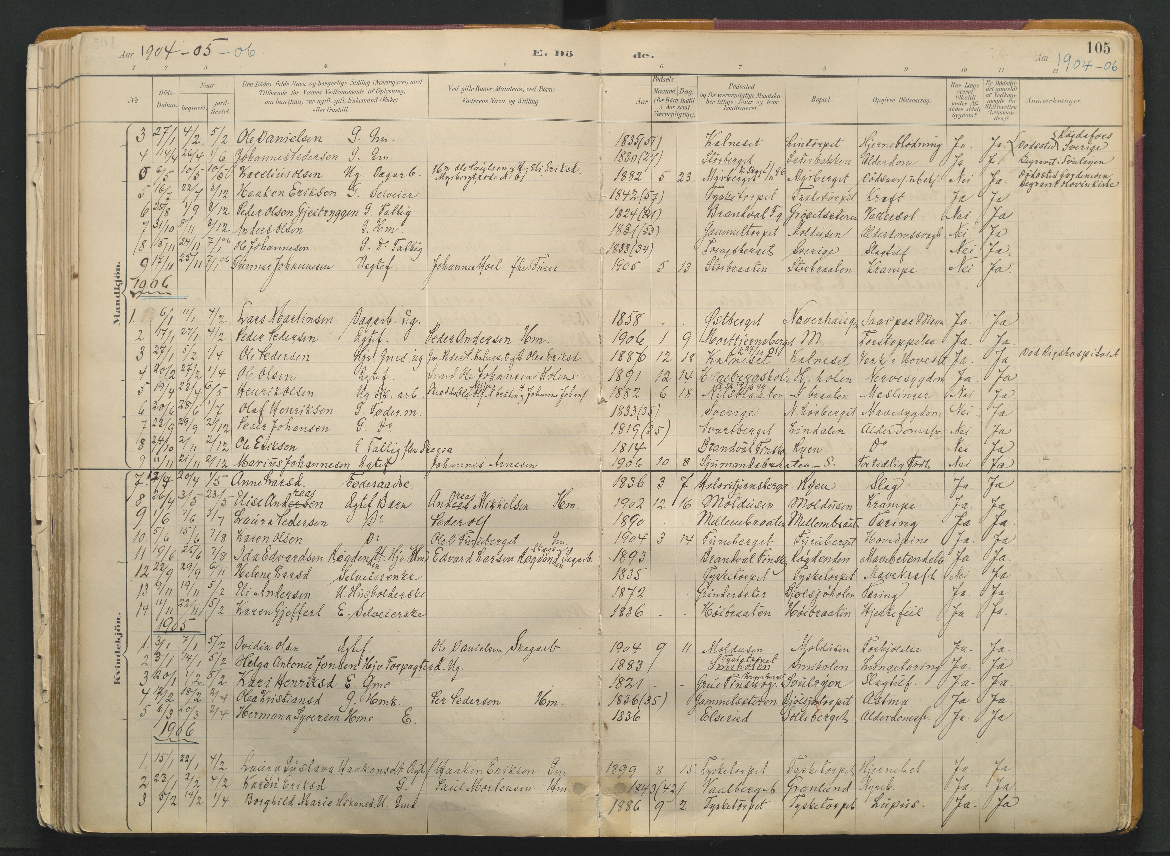 Grue prestekontor, SAH/PREST-036/H/Ha/Haa/L0017: Parish register (official) no. 17, 1892-1936, p. 105
