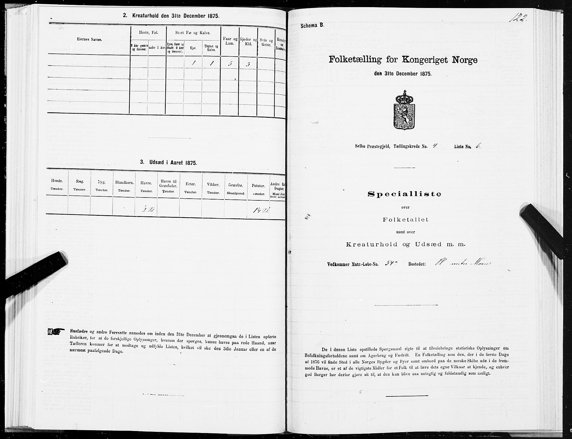 SAT, 1875 census for 1664P Selbu, 1875, p. 2122