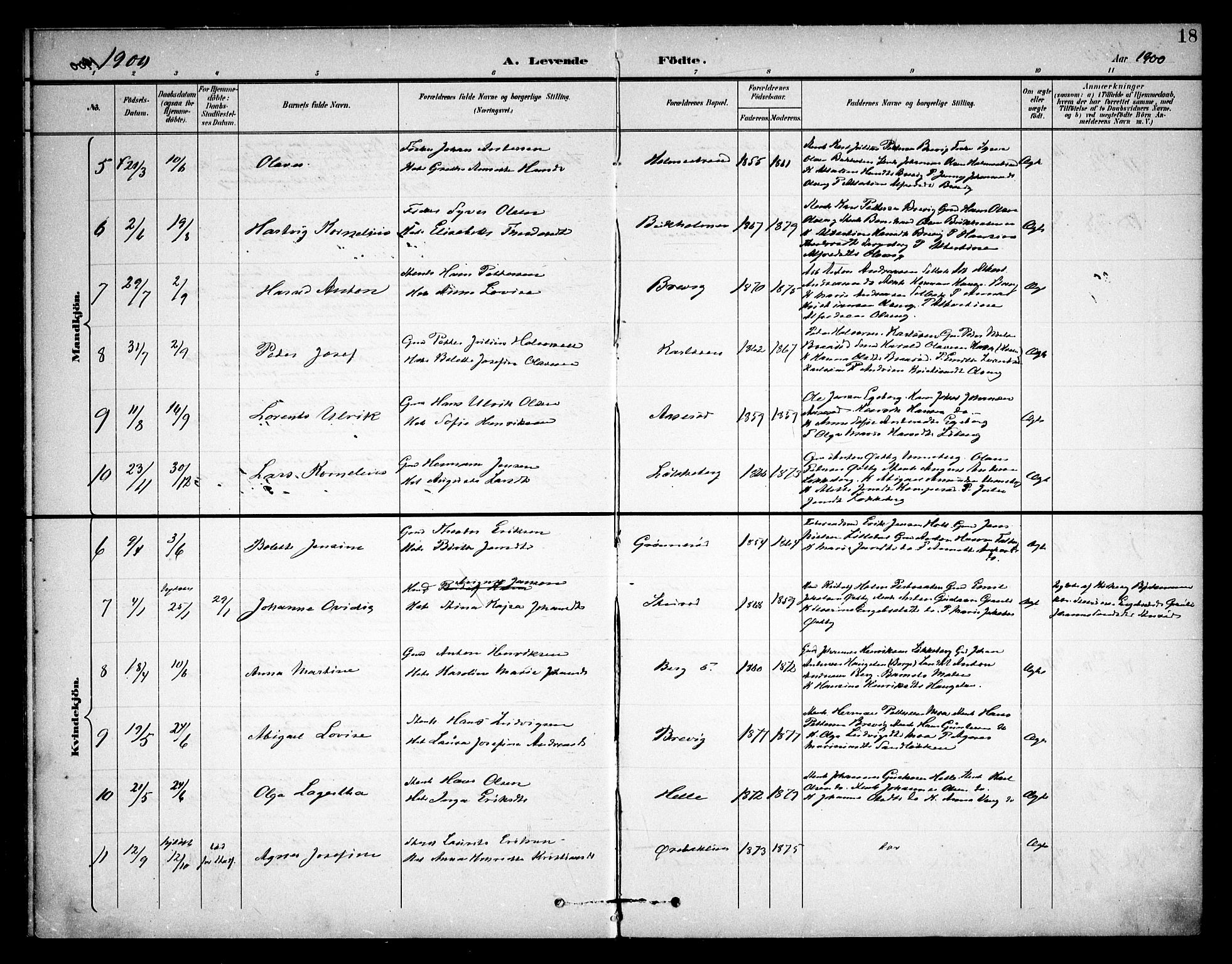 Skjeberg prestekontor Kirkebøker, AV/SAO-A-10923/F/Fb/L0002: Parish register (official) no. II 2, 1895-1910, p. 18