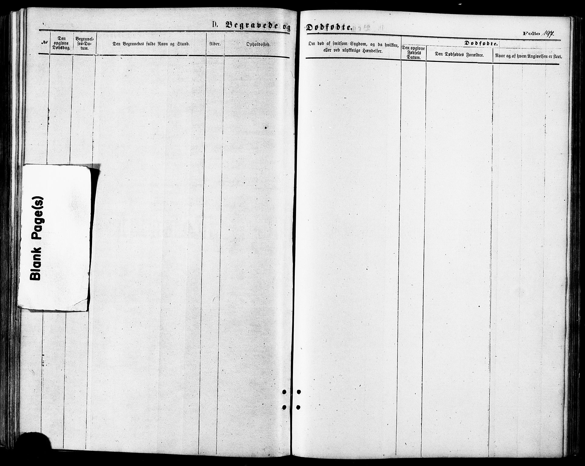 Lenvik sokneprestembete, SATØ/S-1310/H/Ha/Haa/L0010kirke: Parish register (official) no. 10, 1873-1880, p. 197