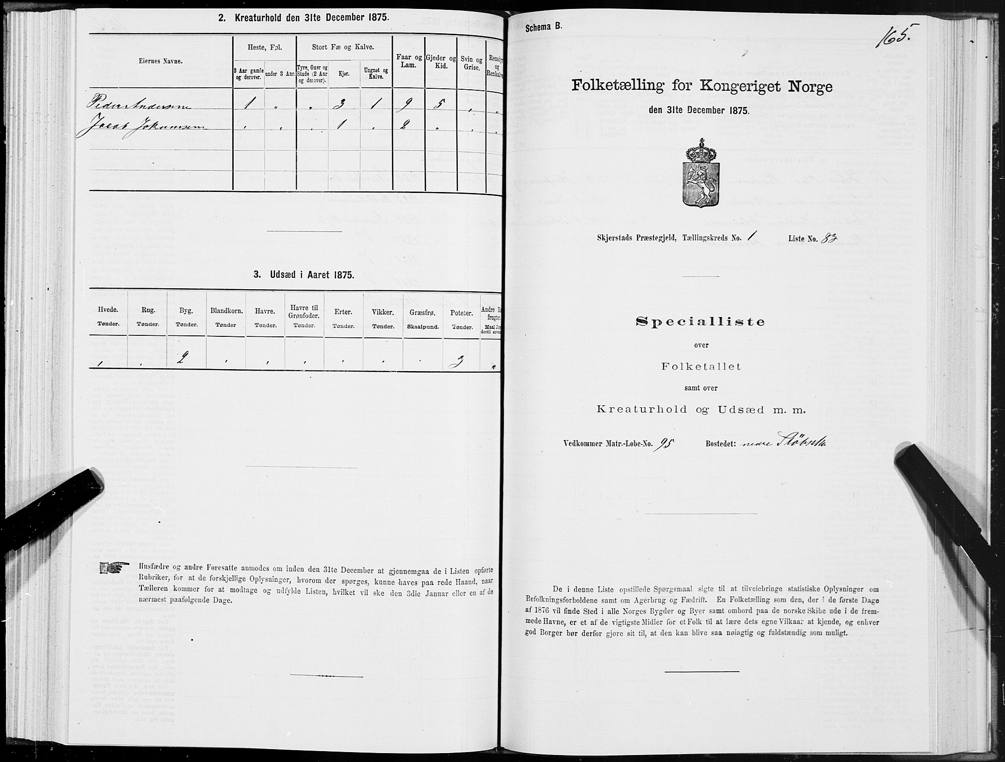 SAT, 1875 census for 1842P Skjerstad, 1875, p. 1165