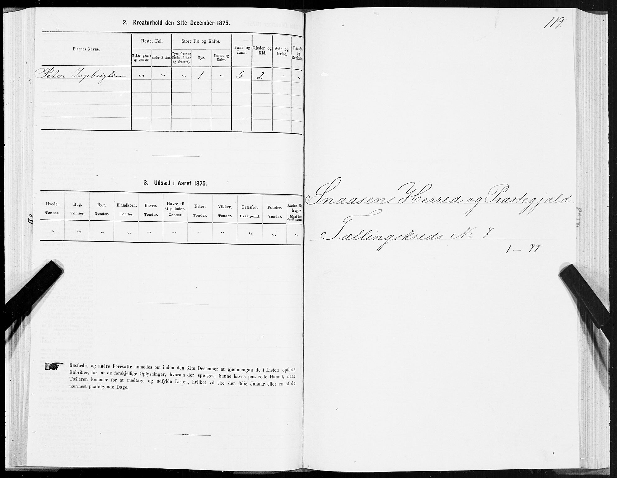 SAT, 1875 census for 1736P Snåsa, 1875, p. 3119