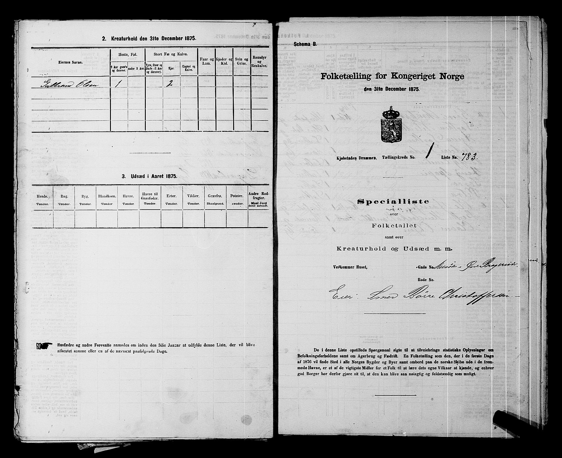 SAKO, 1875 census for 0602 Drammen, 1875, p. 162