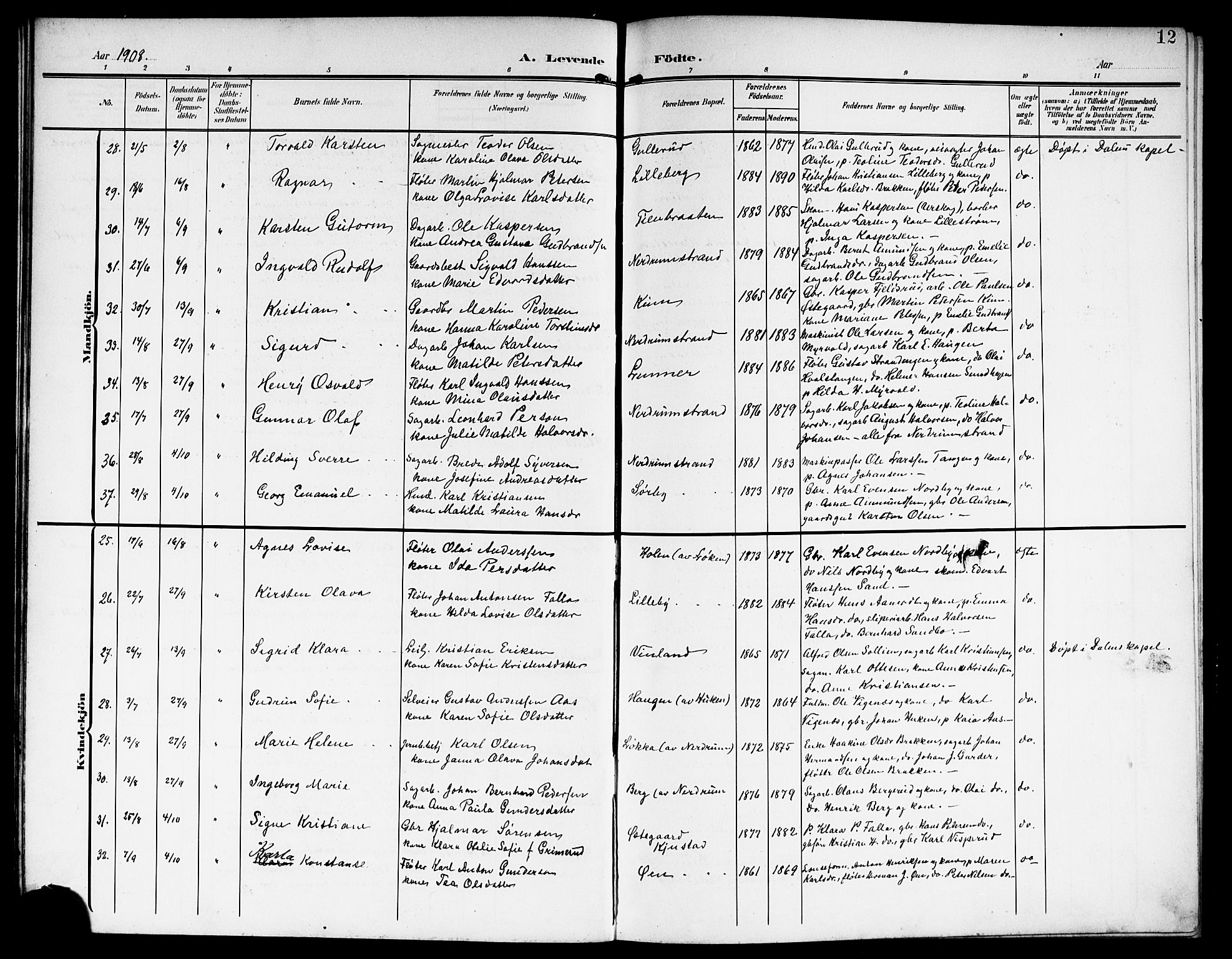 Fet prestekontor Kirkebøker, AV/SAO-A-10370a/G/Ga/L0008: Parish register (copy) no. I 8, 1907-1920, p. 12