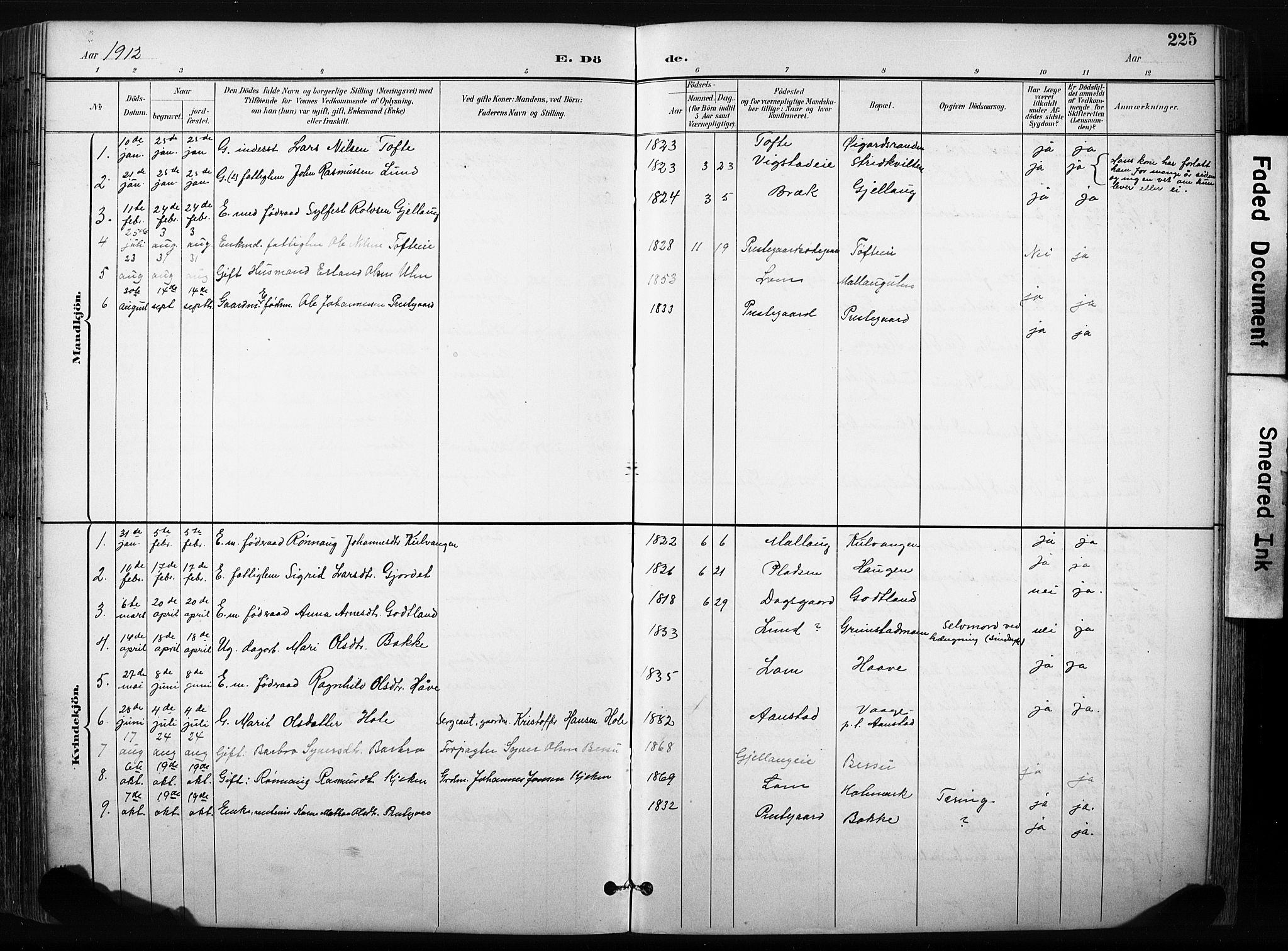 Skjåk prestekontor, AV/SAH-PREST-072/H/Ha/Hab/L0003: Parish register (copy) no. 3, 1893-1932, p. 225