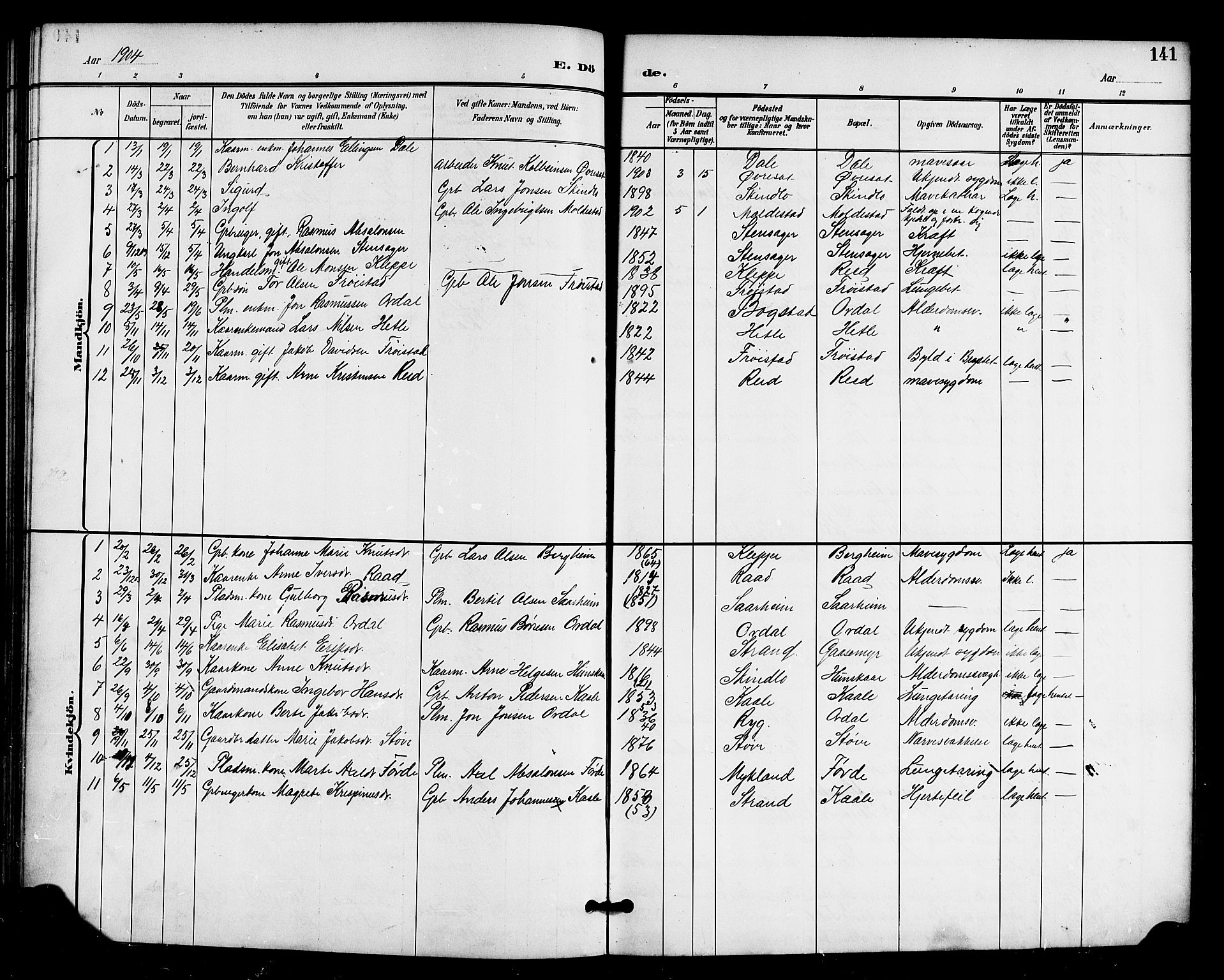Gloppen sokneprestembete, AV/SAB-A-80101/H/Hab/Habc/L0002: Parish register (copy) no. C 2, 1896-1910, p. 141