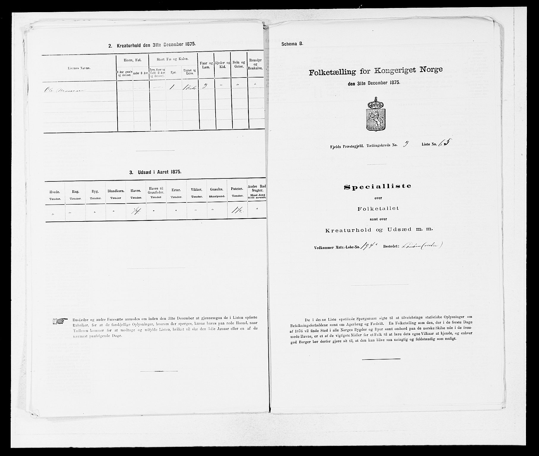 SAB, 1875 census for 1246P Fjell, 1875, p. 417