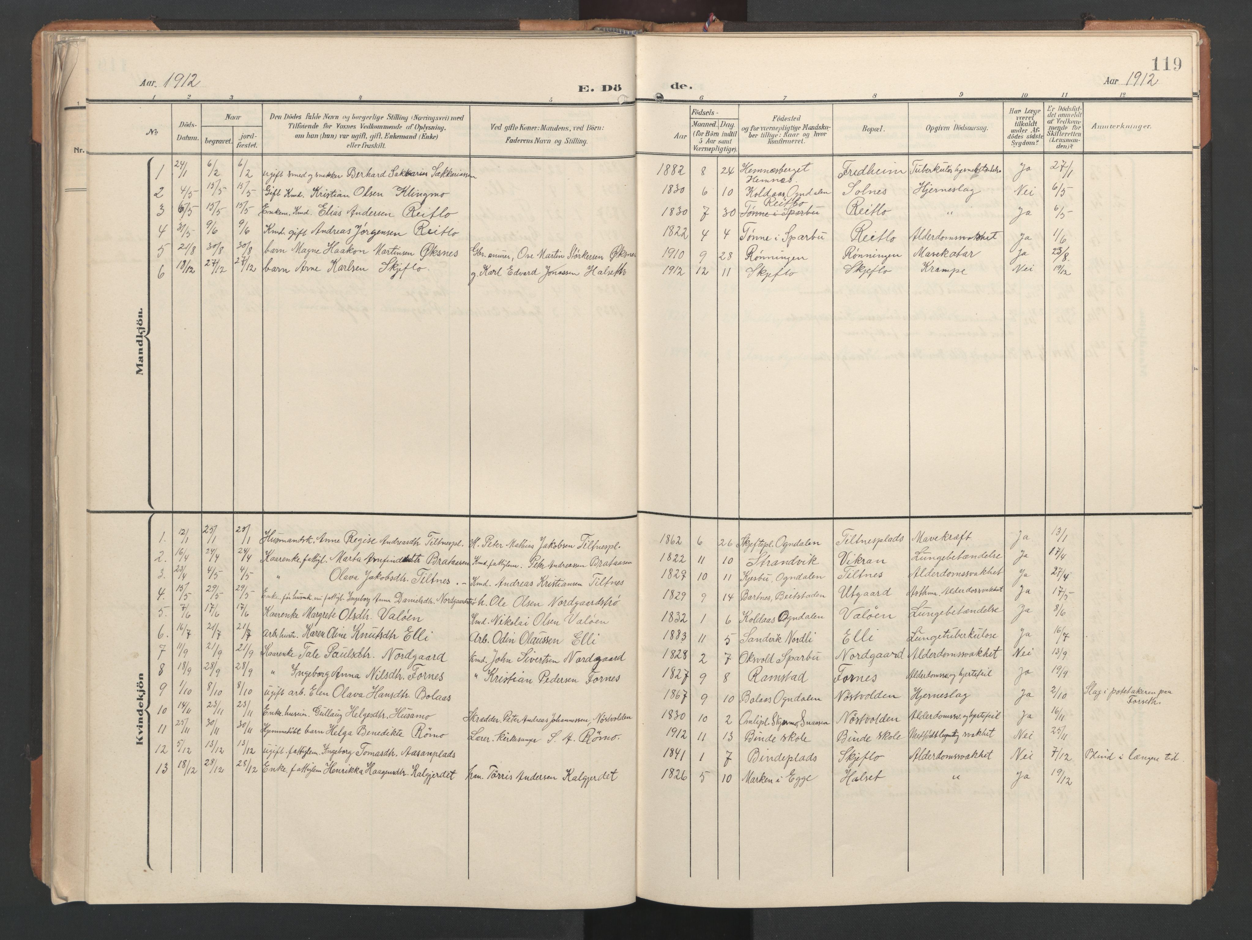Ministerialprotokoller, klokkerbøker og fødselsregistre - Nord-Trøndelag, SAT/A-1458/746/L0455: Parish register (copy) no. 746C01, 1908-1933, p. 119