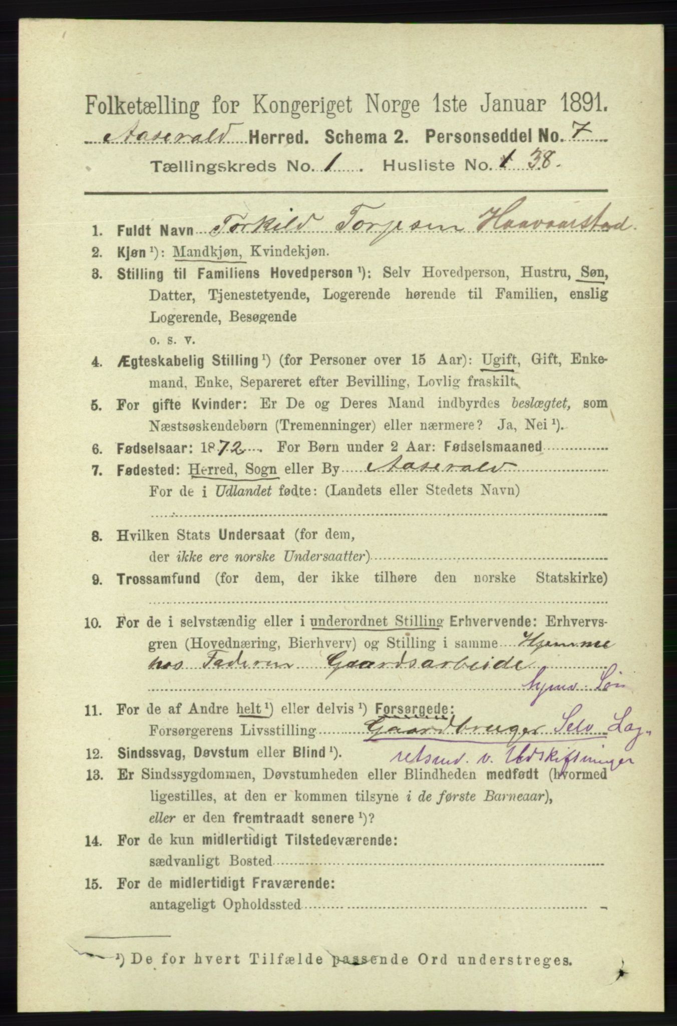 RA, 1891 census for 1026 Åseral, 1891, p. 317