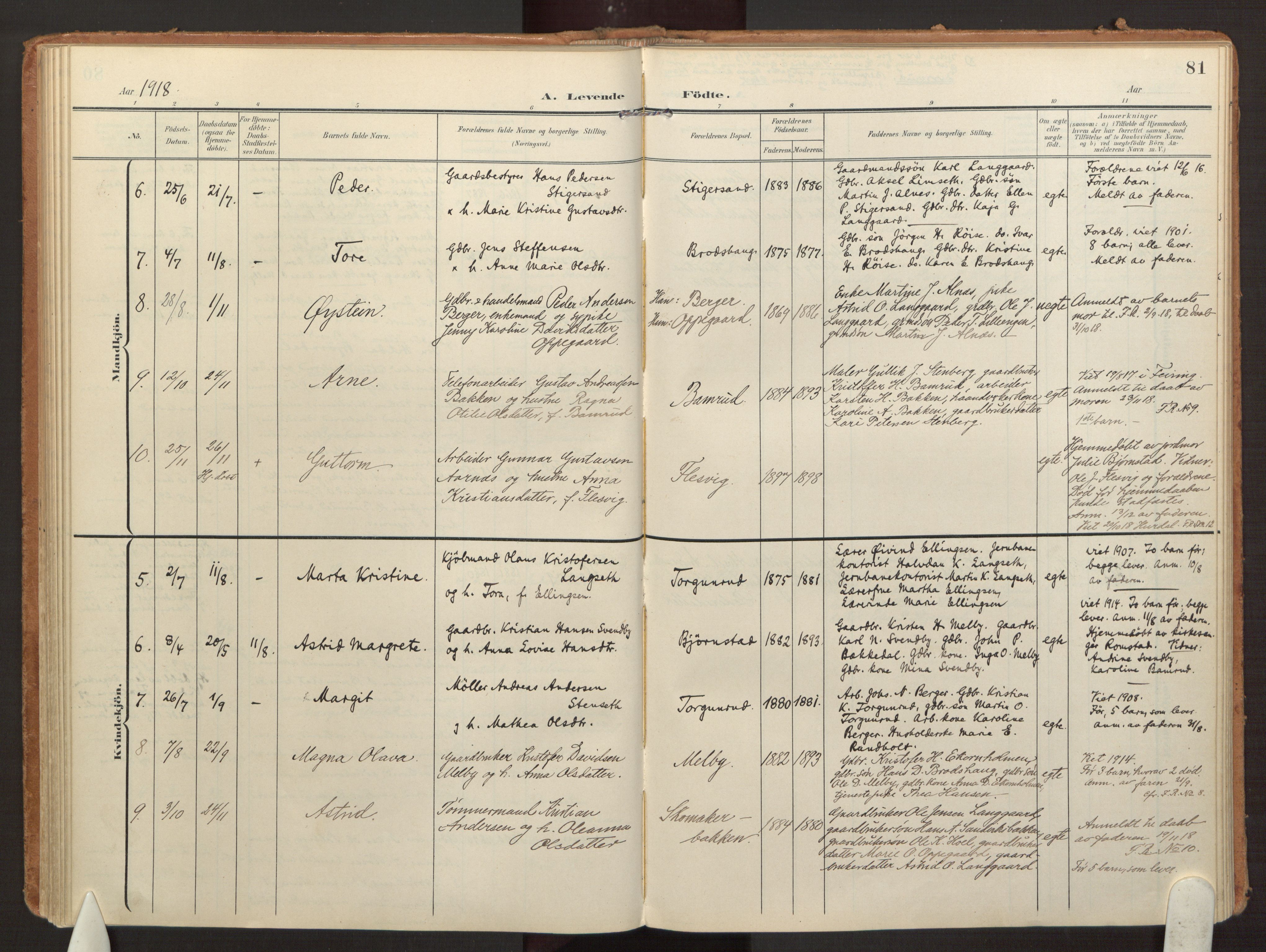 Hurdal prestekontor Kirkebøker, AV/SAO-A-10889/F/Fb/L0004: Parish register (official) no. II 4, 1902-1924, p. 81