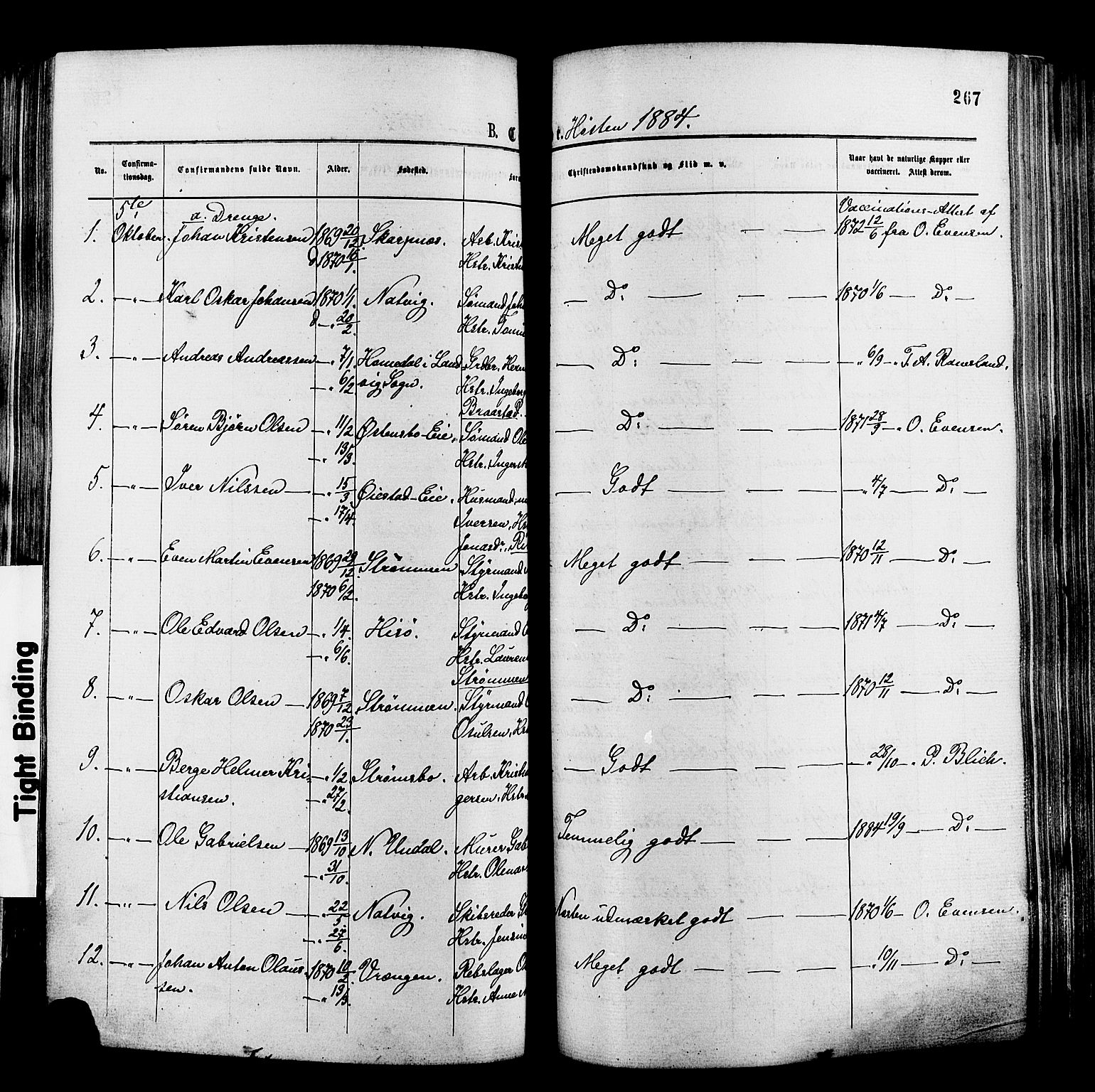Øyestad sokneprestkontor, AV/SAK-1111-0049/F/Fa/L0016: Parish register (official) no. A 16, 1874-1886, p. 267