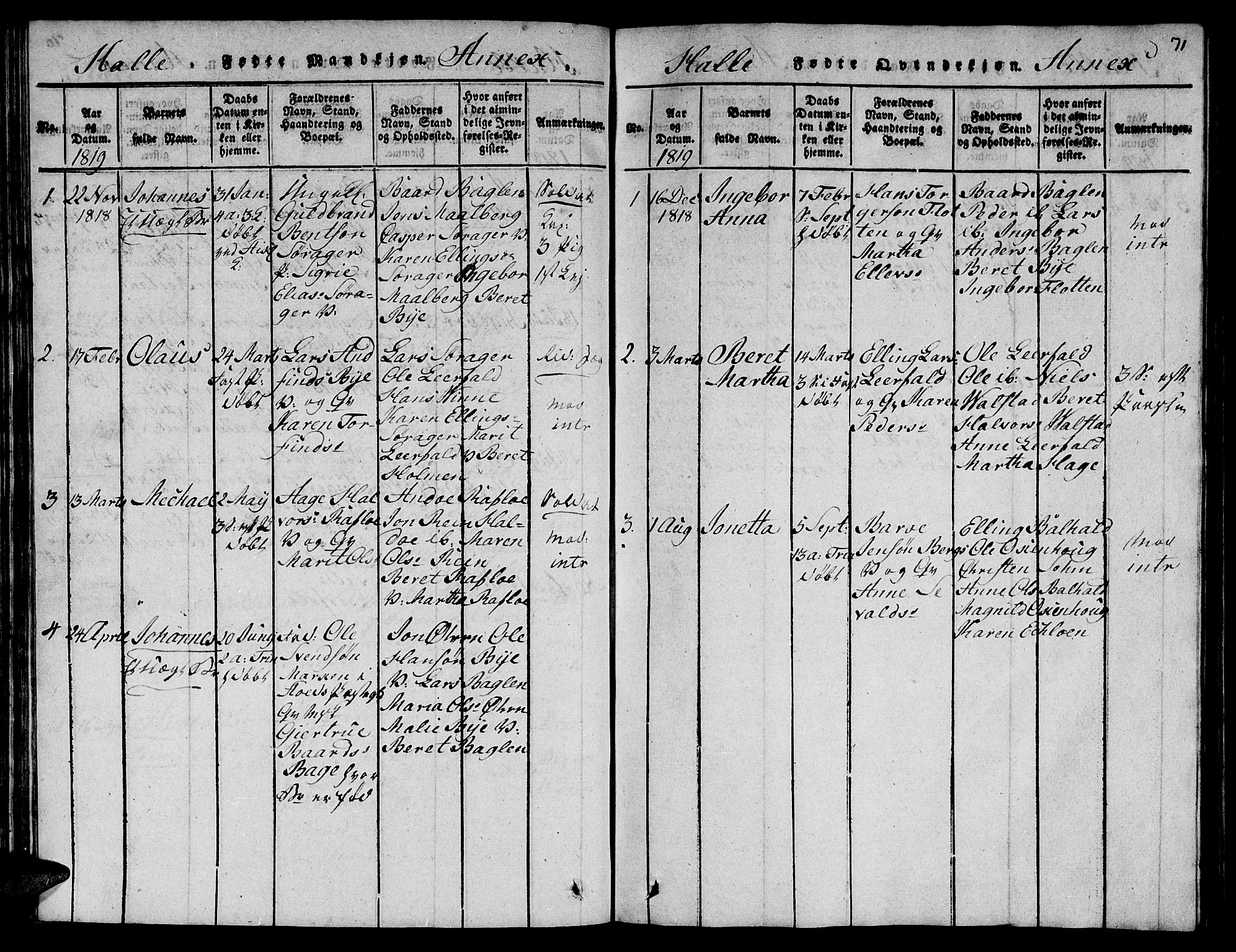 Ministerialprotokoller, klokkerbøker og fødselsregistre - Nord-Trøndelag, SAT/A-1458/723/L0251: Parish register (copy) no. 723C01 /3, 1817-1821, p. 71