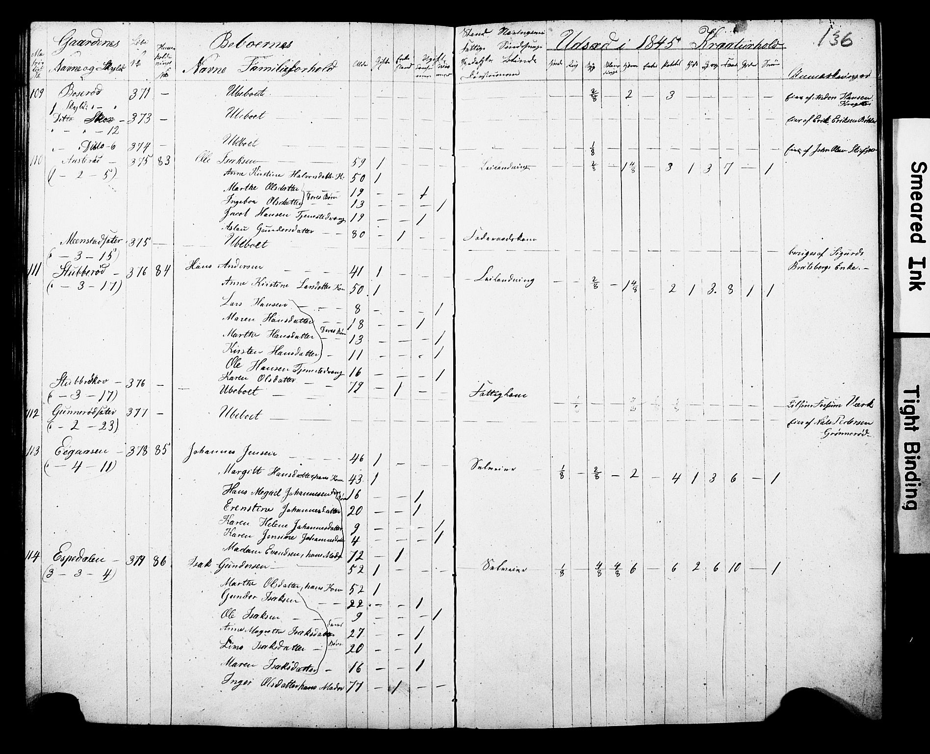 , Census 1845 for Gjerpen, 1845, p. 136