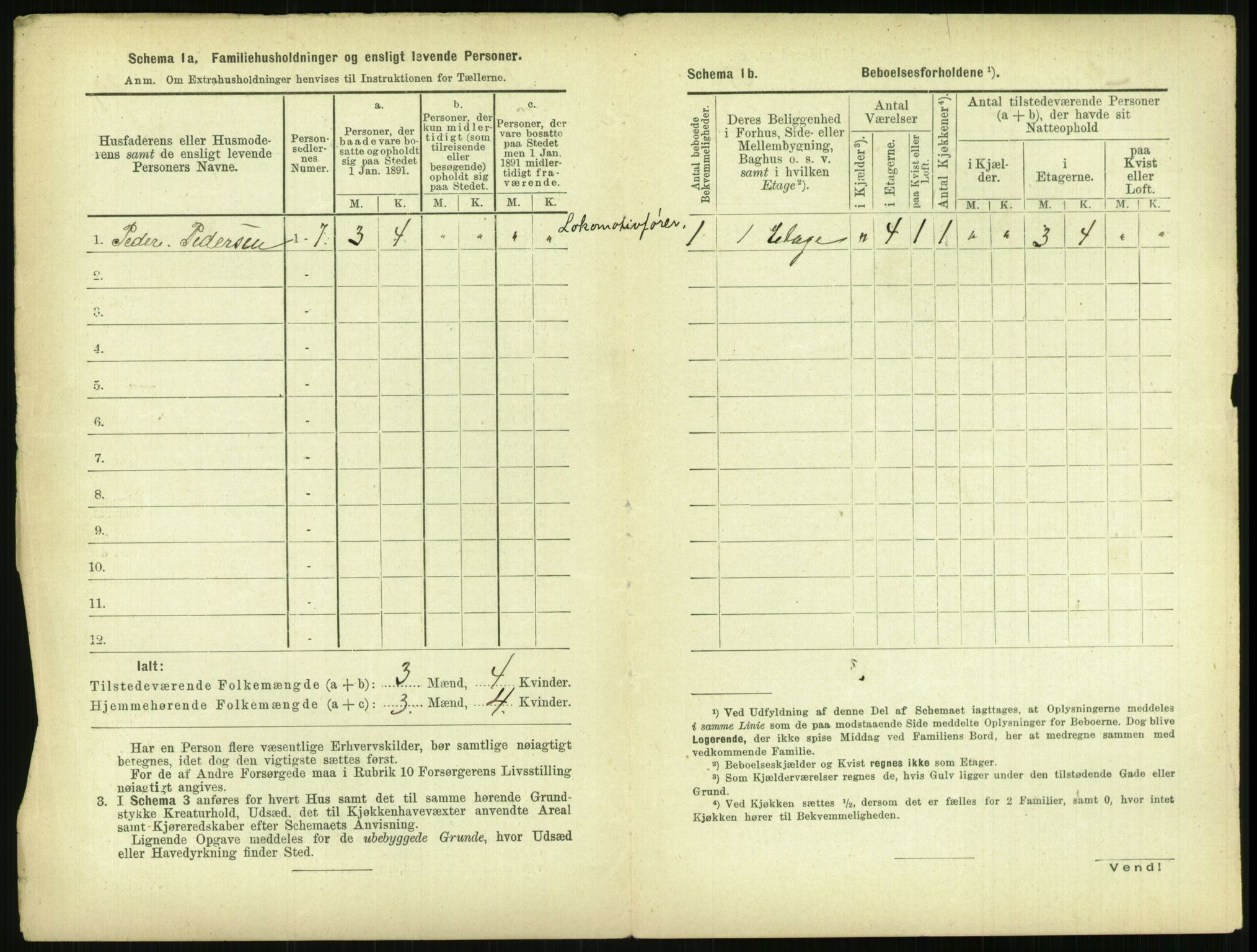 RA, 1891 census for 0806 Skien, 1891, p. 1209