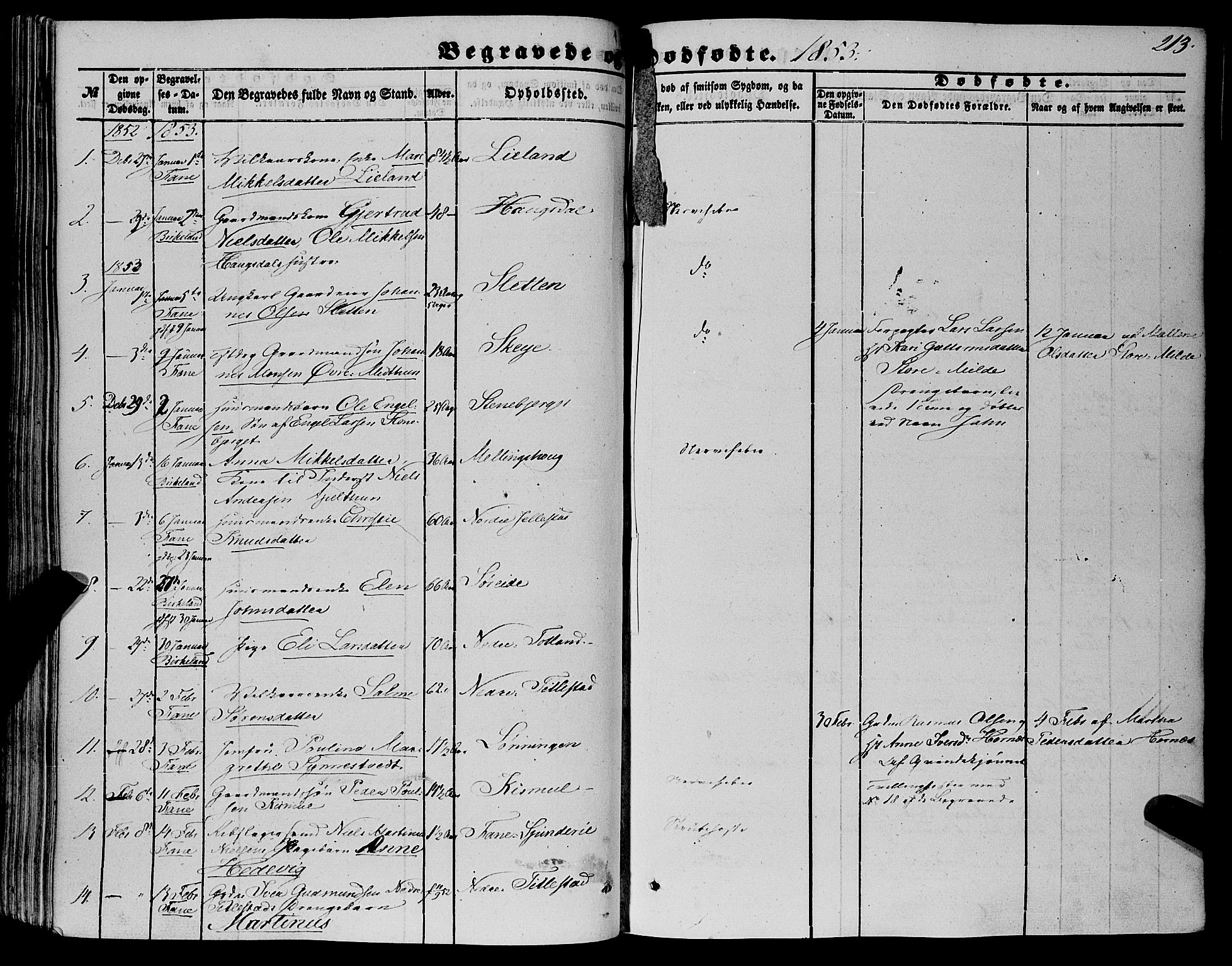Fana Sokneprestembete, SAB/A-75101/H/Haa/Haaa/L0011: Parish register (official) no. A 11, 1851-1862, p. 213