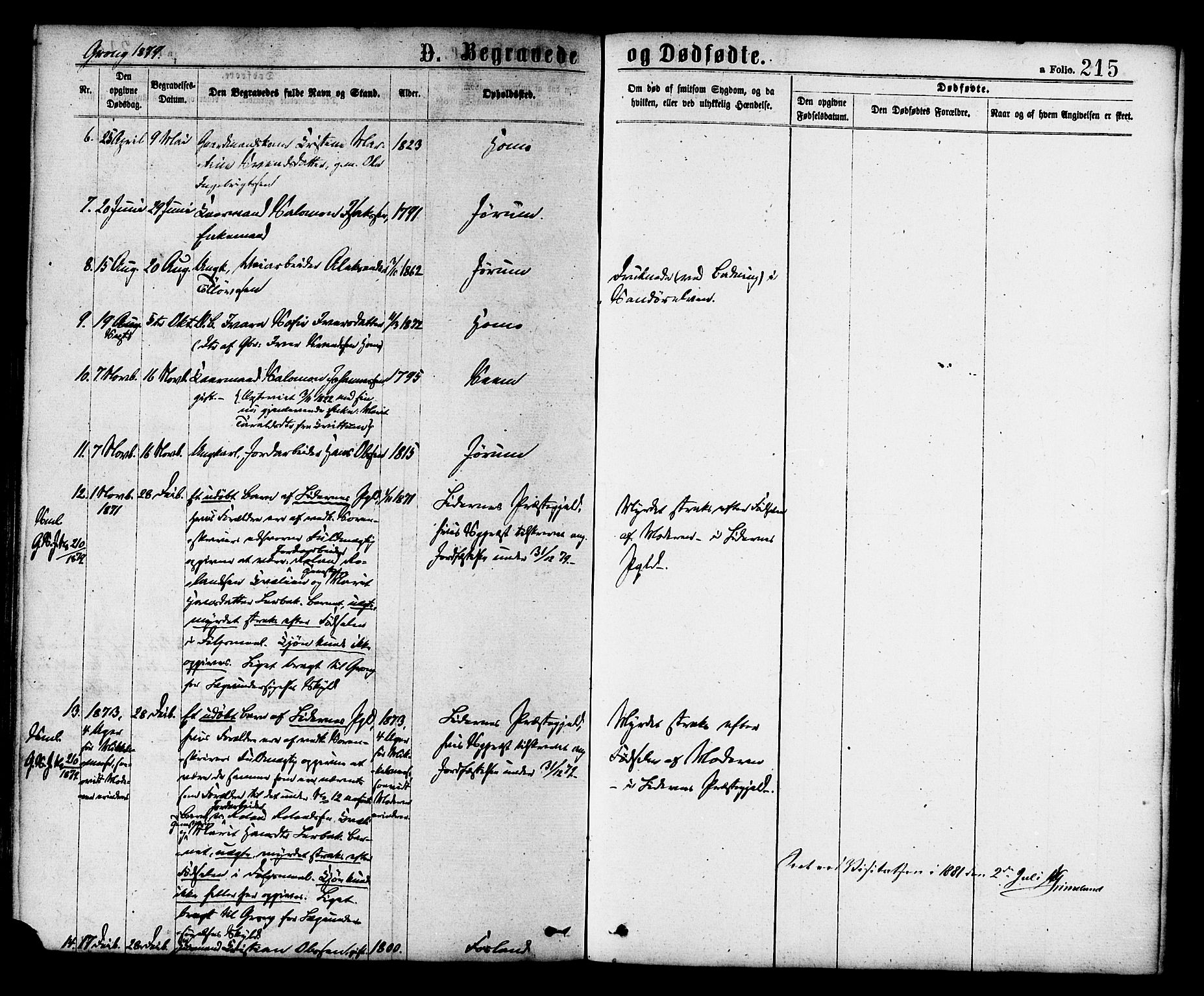 Ministerialprotokoller, klokkerbøker og fødselsregistre - Nord-Trøndelag, AV/SAT-A-1458/758/L0516: Parish register (official) no. 758A03 /1, 1869-1879, p. 215