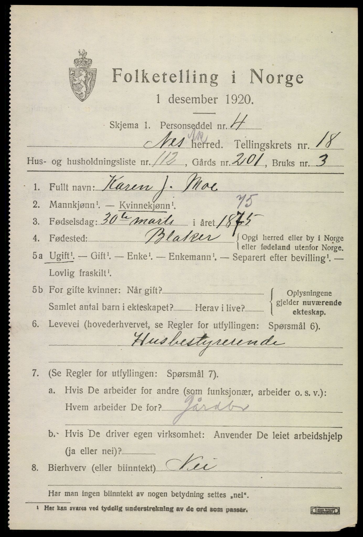 SAO, 1920 census for Nes, 1920, p. 19098