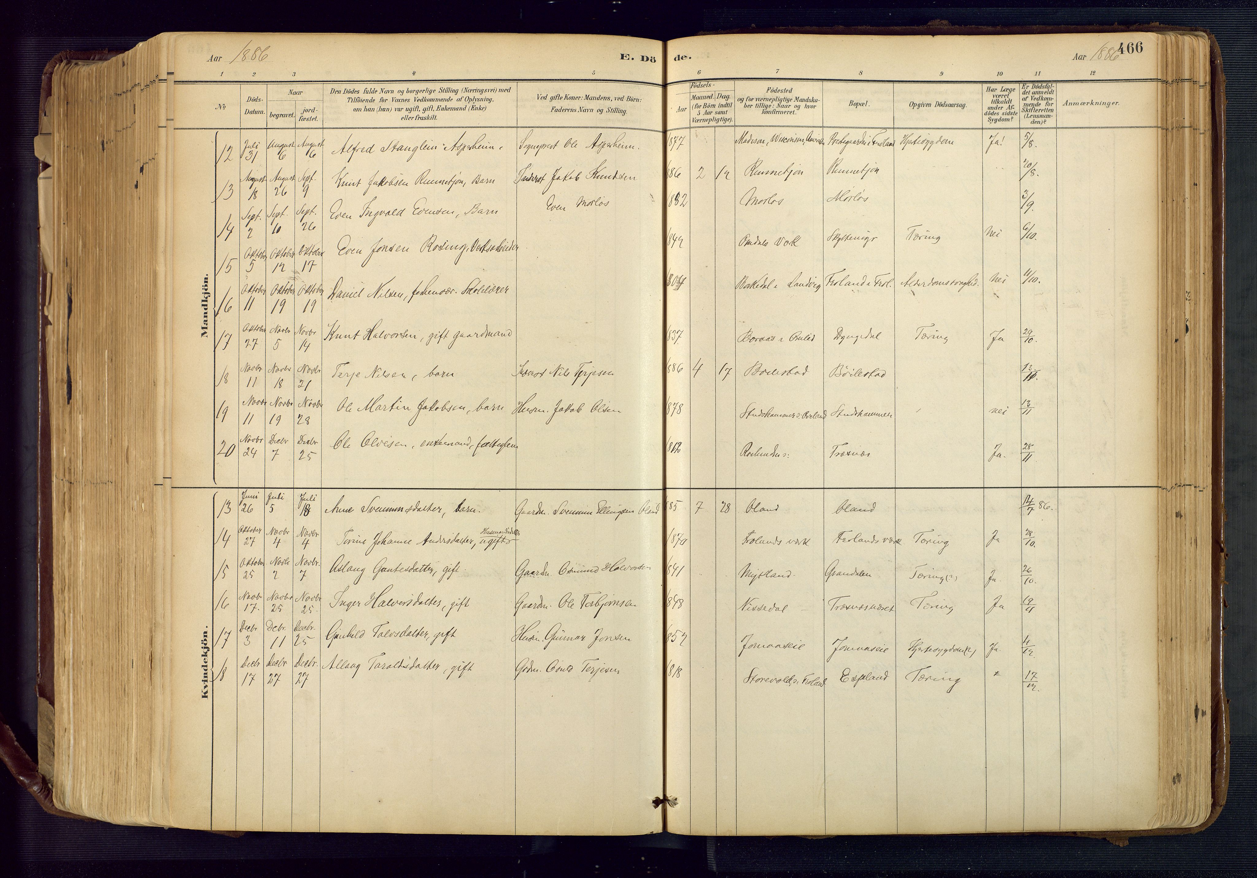 Froland sokneprestkontor, AV/SAK-1111-0013/F/Fa/L0005: Parish register (official) no. A 5, 1882-1921, p. 466