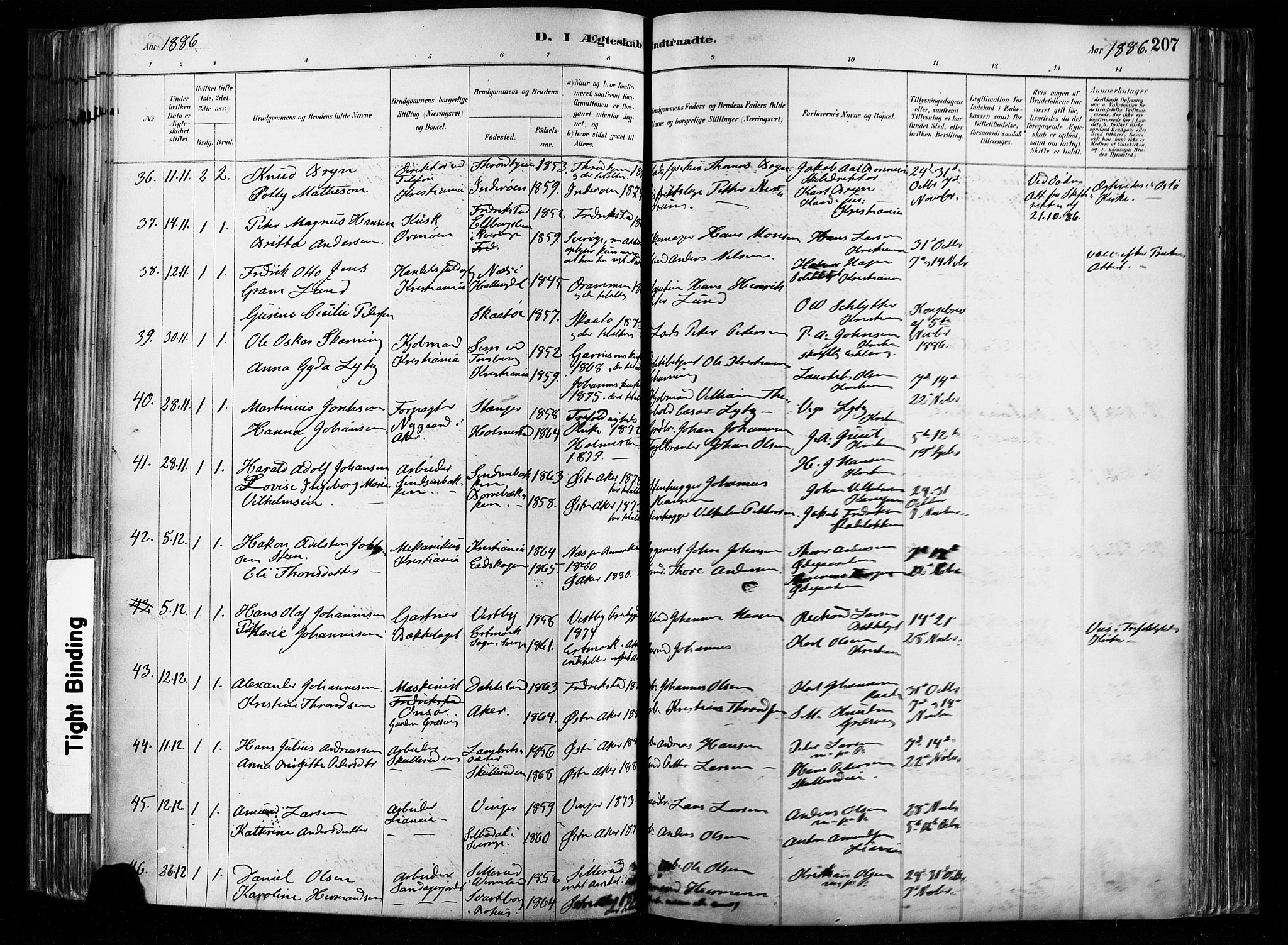 Østre Aker prestekontor Kirkebøker, SAO/A-10840/F/Fa/L0008: Parish register (official) no. I 8, 1883-1894, p. 207