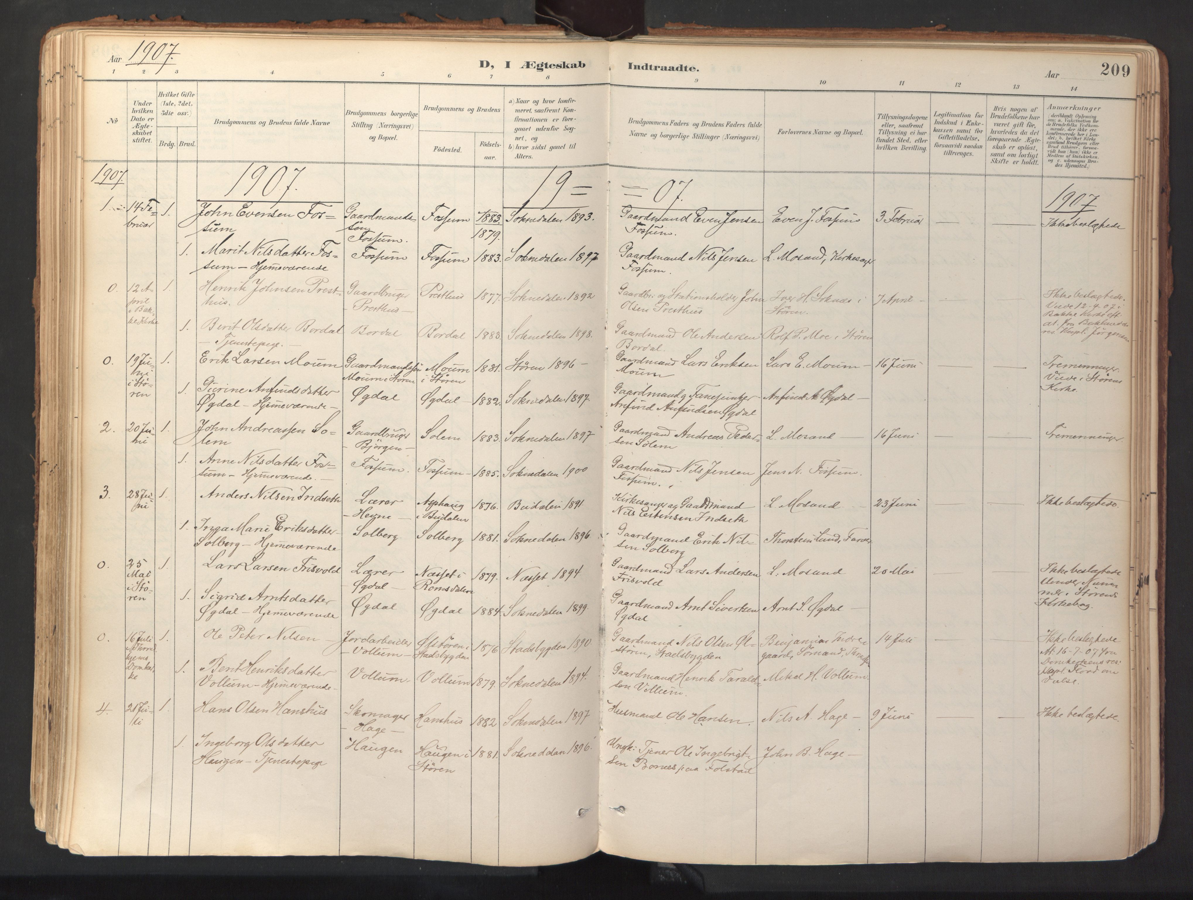 Ministerialprotokoller, klokkerbøker og fødselsregistre - Sør-Trøndelag, SAT/A-1456/689/L1041: Parish register (official) no. 689A06, 1891-1923, p. 209