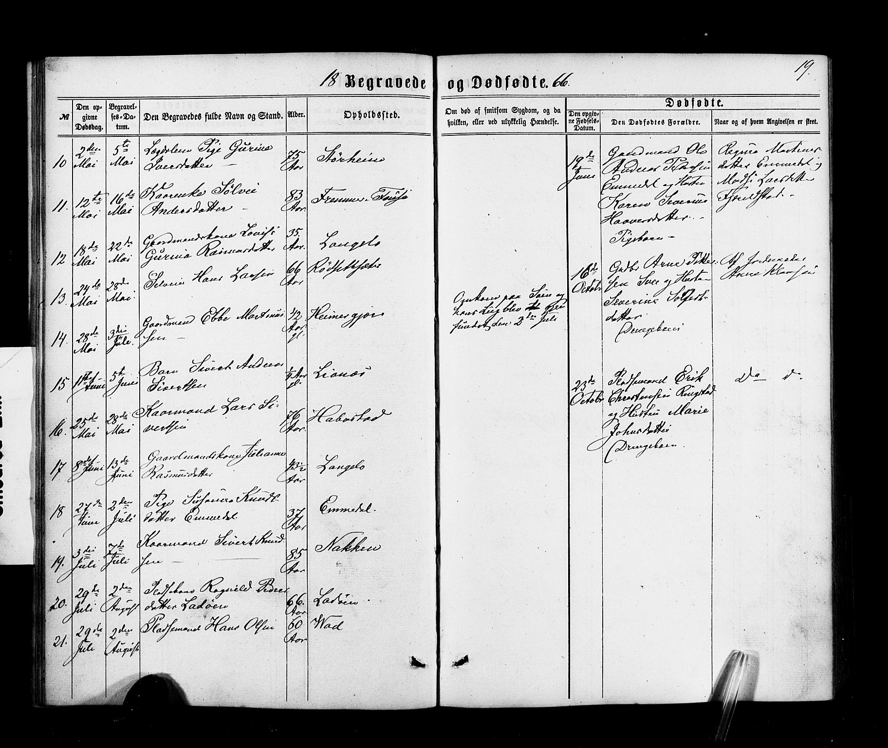 Ministerialprotokoller, klokkerbøker og fødselsregistre - Møre og Romsdal, AV/SAT-A-1454/520/L0282: Parish register (official) no. 520A11, 1862-1881, p. 19