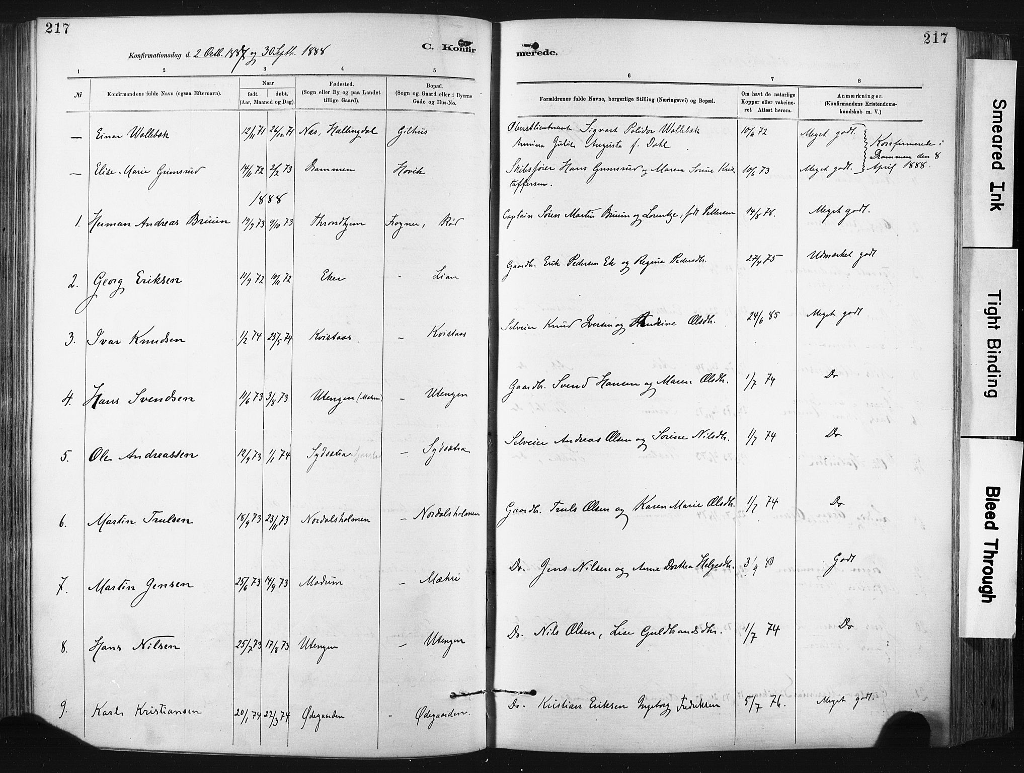 Lier kirkebøker, SAKO/A-230/F/Fa/L0015: Parish register (official) no. I 15, 1883-1894, p. 217