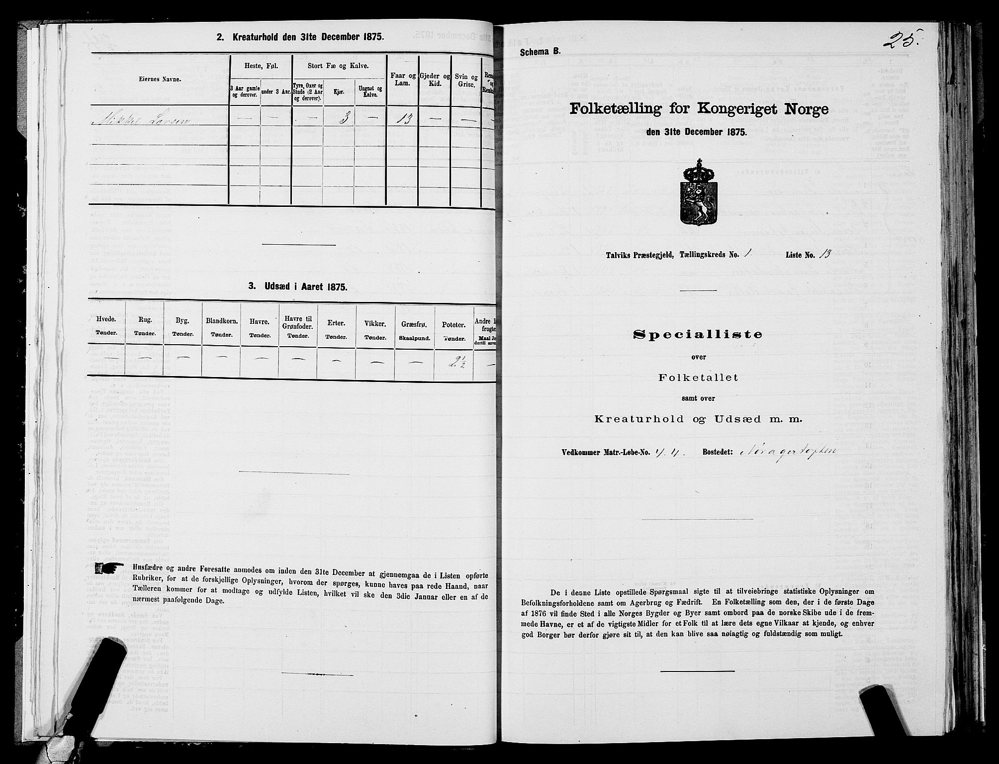 SATØ, 1875 census for 2013P Talvik, 1875, p. 1025