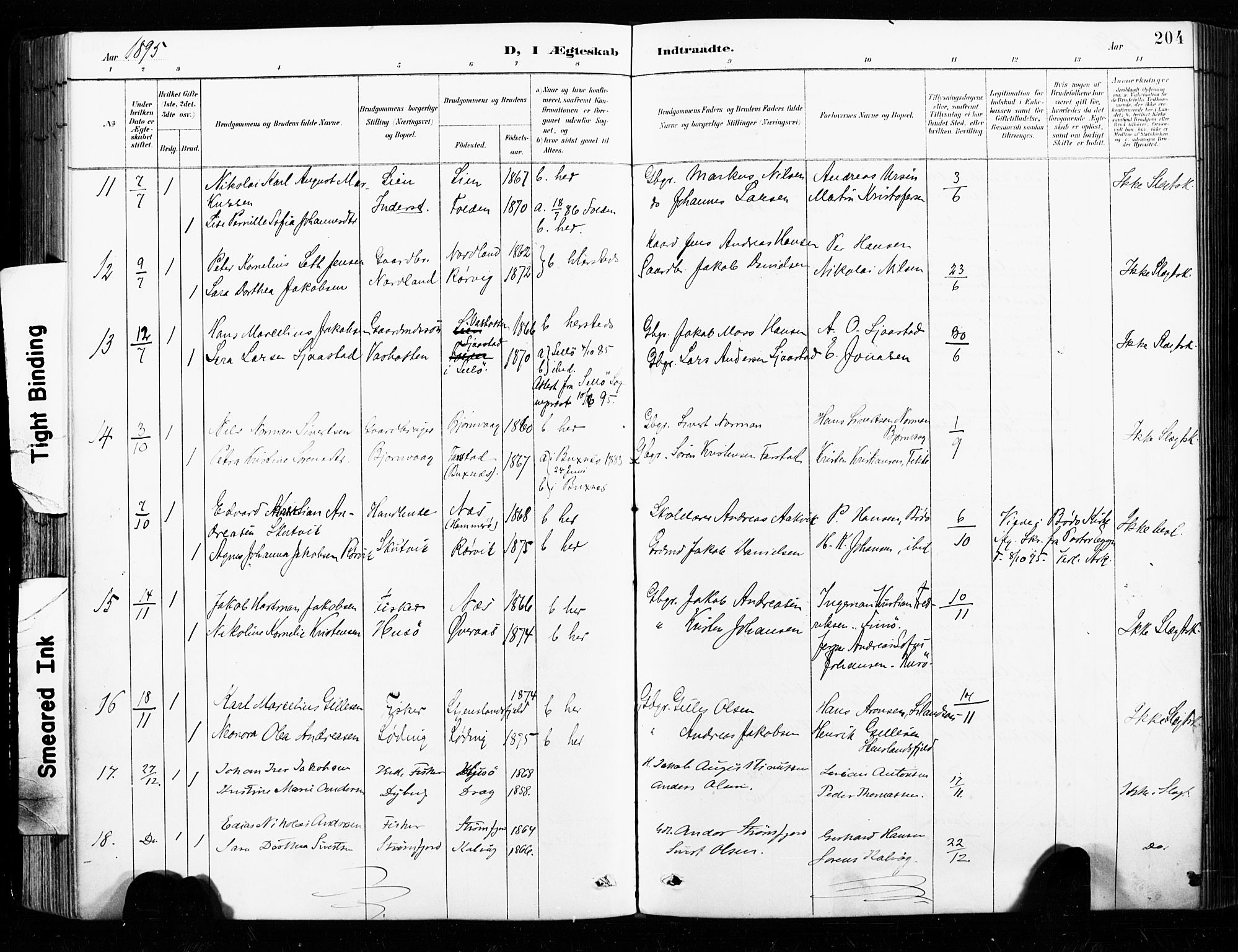 Ministerialprotokoller, klokkerbøker og fødselsregistre - Nordland, AV/SAT-A-1459/859/L0847: Parish register (official) no. 859A07, 1890-1899, p. 204