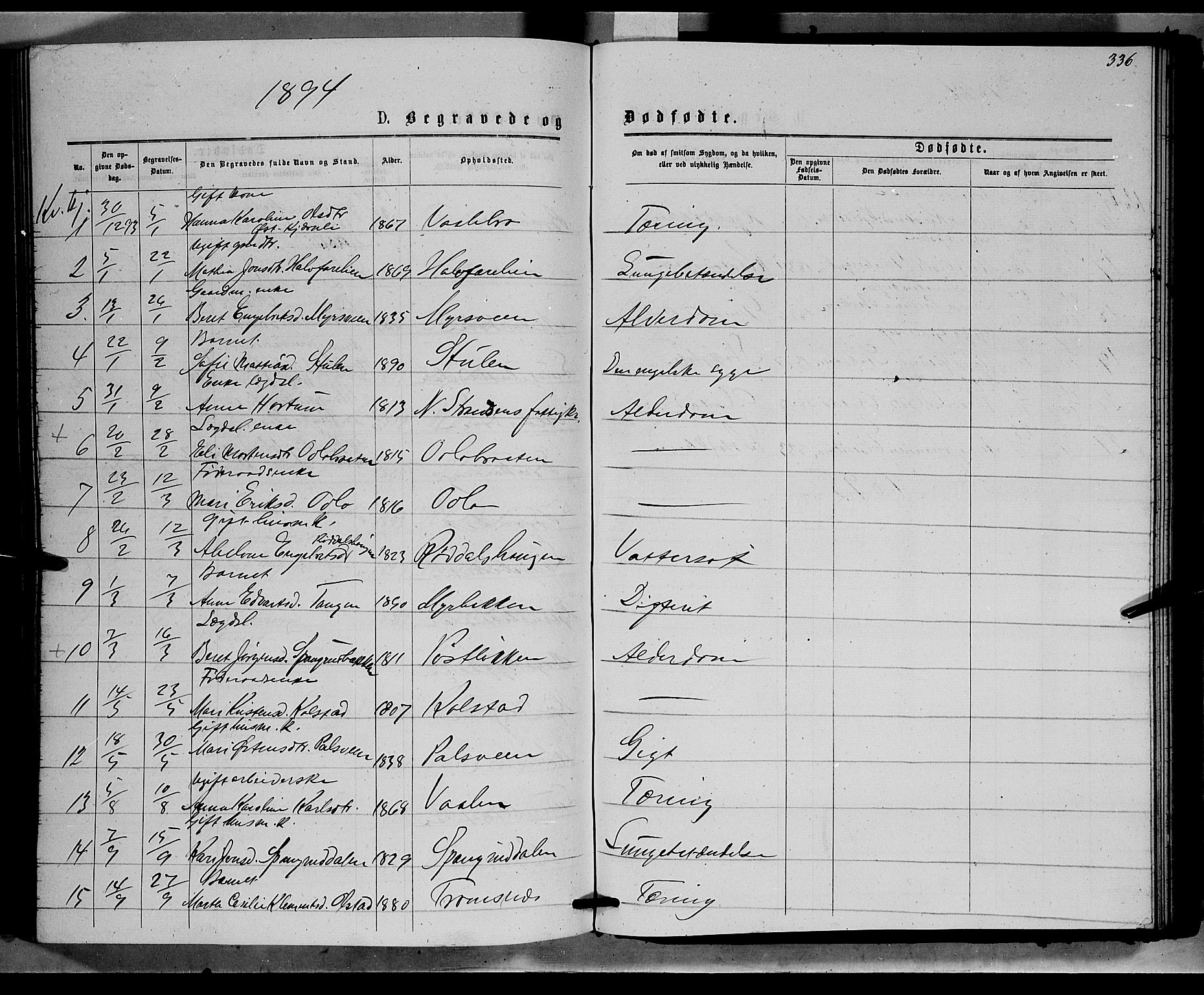 Ringebu prestekontor, SAH/PREST-082/H/Ha/Hab/L0006: Parish register (copy) no. 6, 1880-1898, p. 336