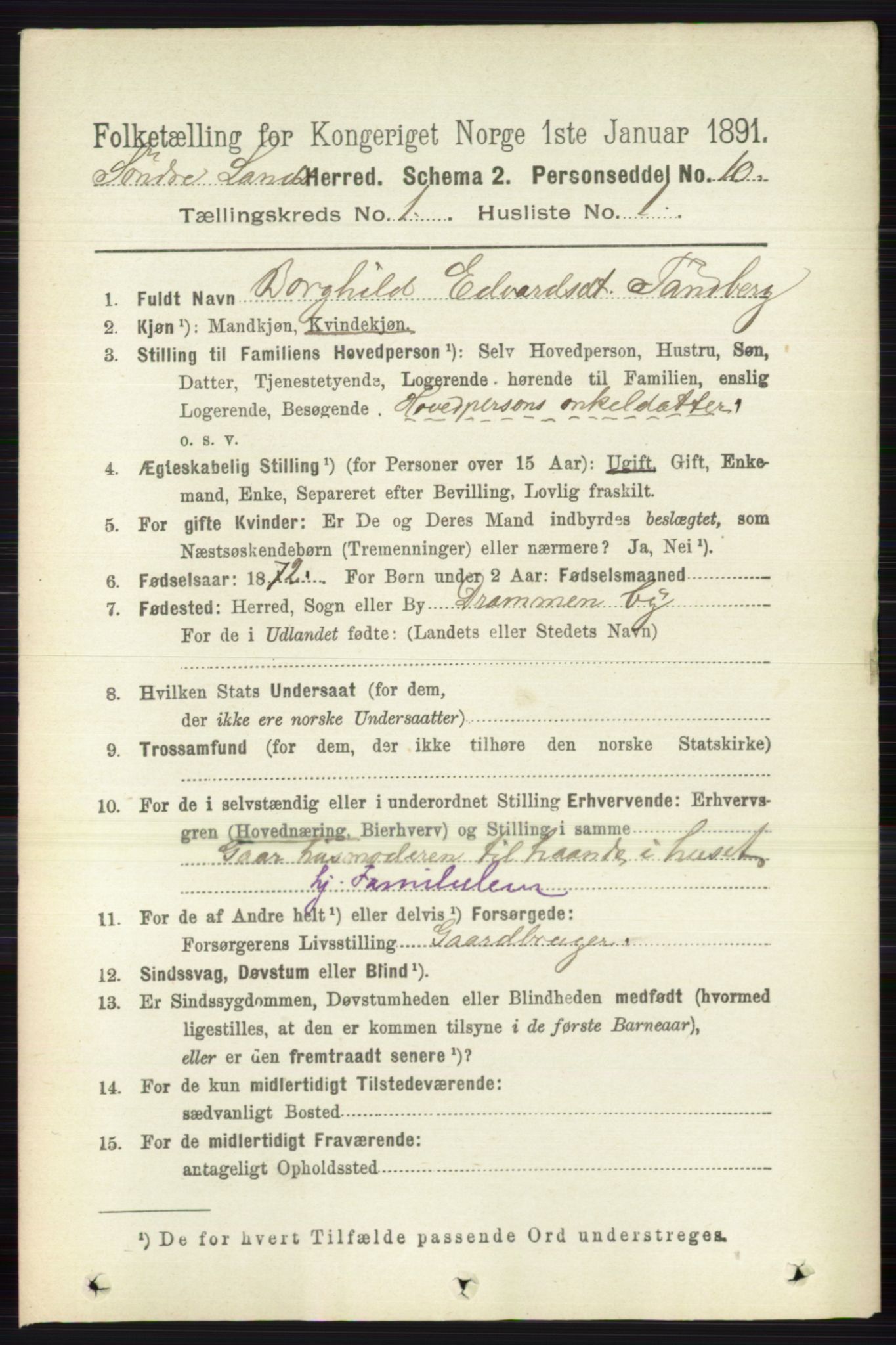 RA, 1891 census for 0536 Søndre Land, 1891, p. 141