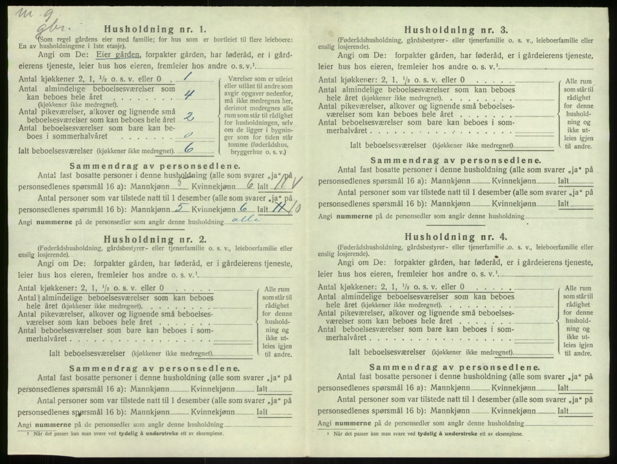 SAB, 1920 census for Hafslo, 1920, p. 781