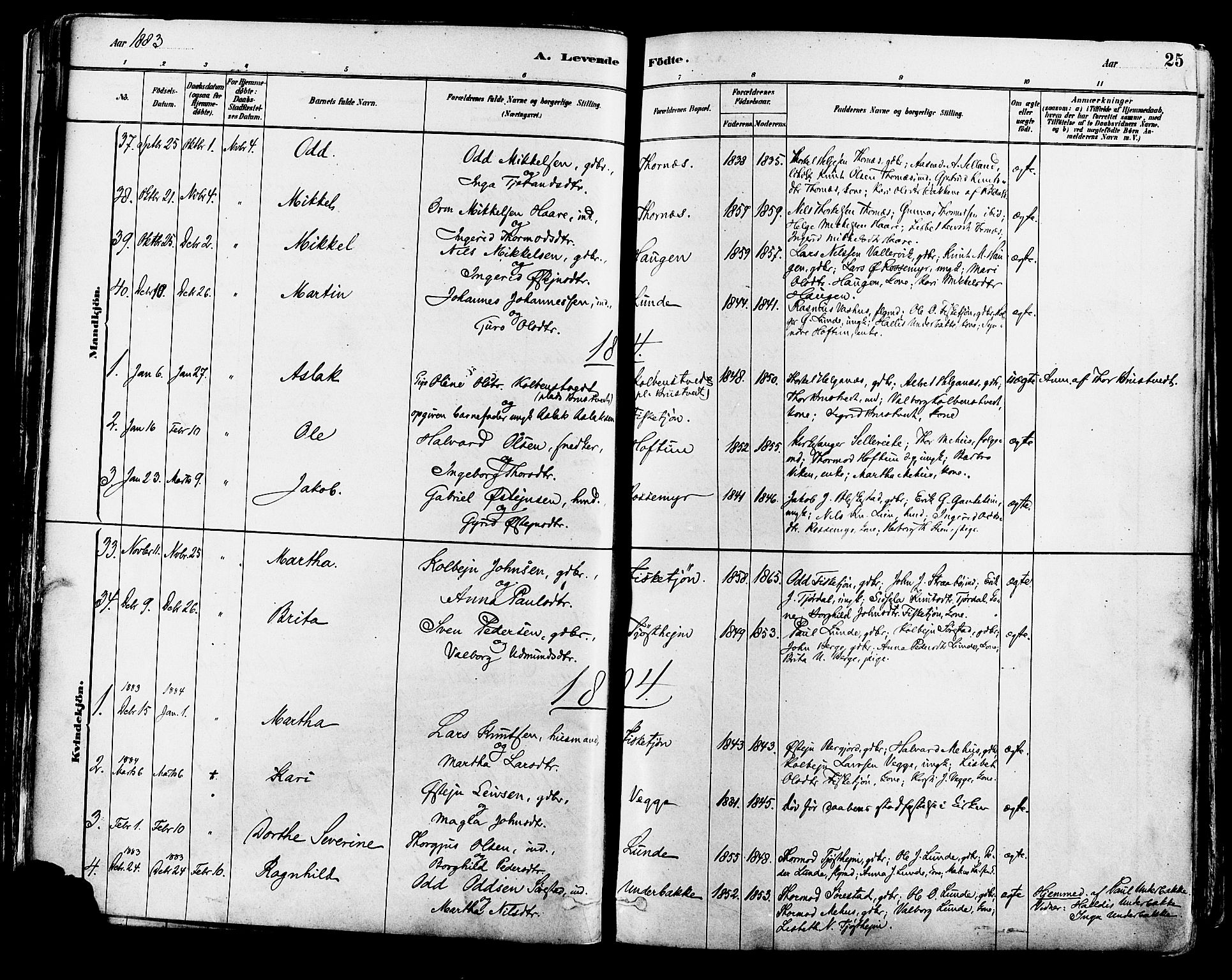 Suldal sokneprestkontor, AV/SAST-A-101845/01/IV/L0011: Parish register (official) no. A 11, 1878-1900, p. 25