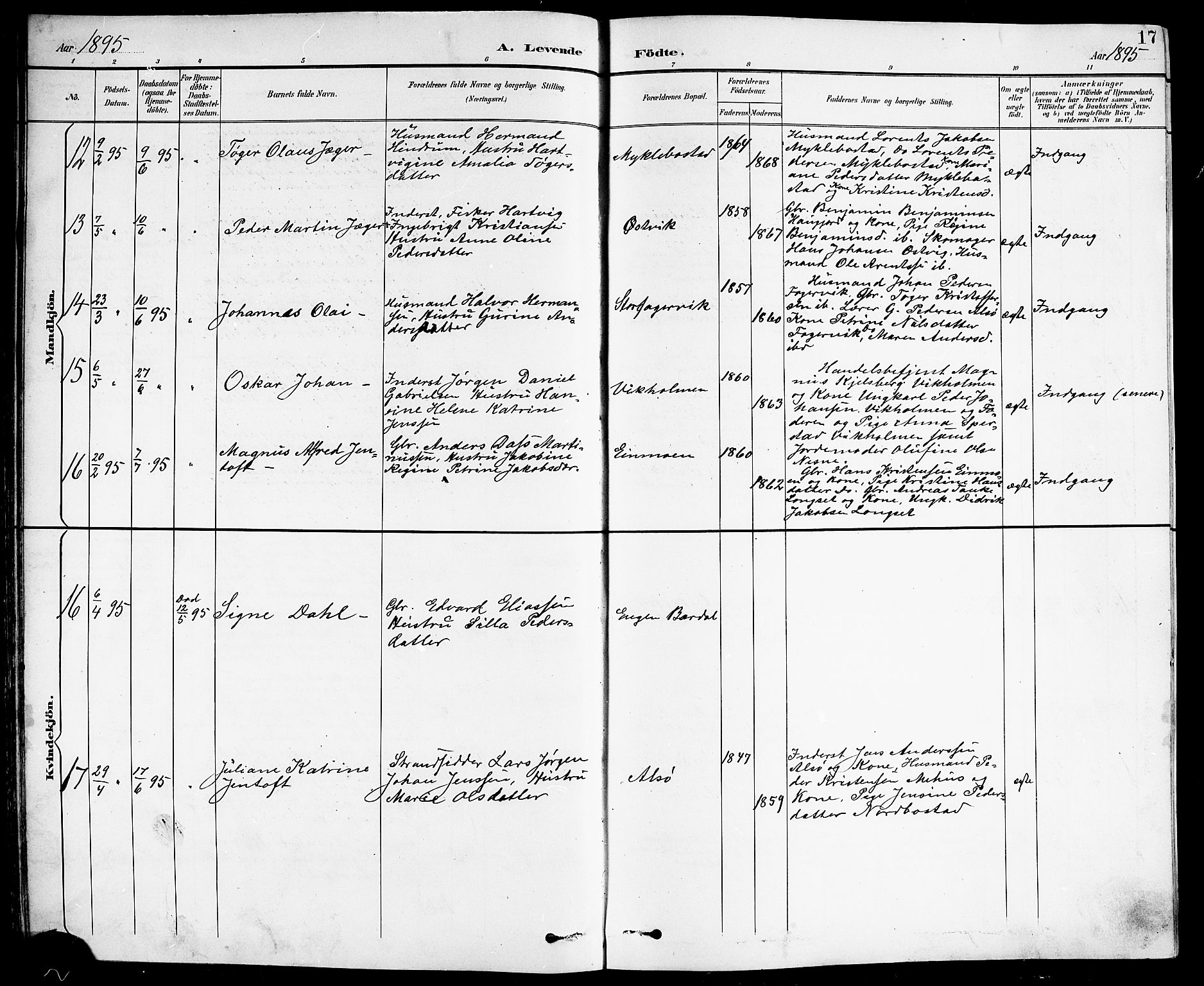 Ministerialprotokoller, klokkerbøker og fødselsregistre - Nordland, AV/SAT-A-1459/838/L0559: Parish register (copy) no. 838C06, 1893-1910, p. 17