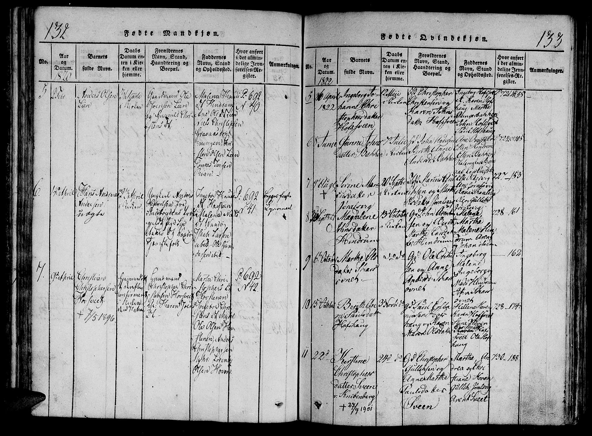 Ministerialprotokoller, klokkerbøker og fødselsregistre - Nord-Trøndelag, AV/SAT-A-1458/701/L0005: Parish register (official) no. 701A05 /2, 1816-1825, p. 132-133