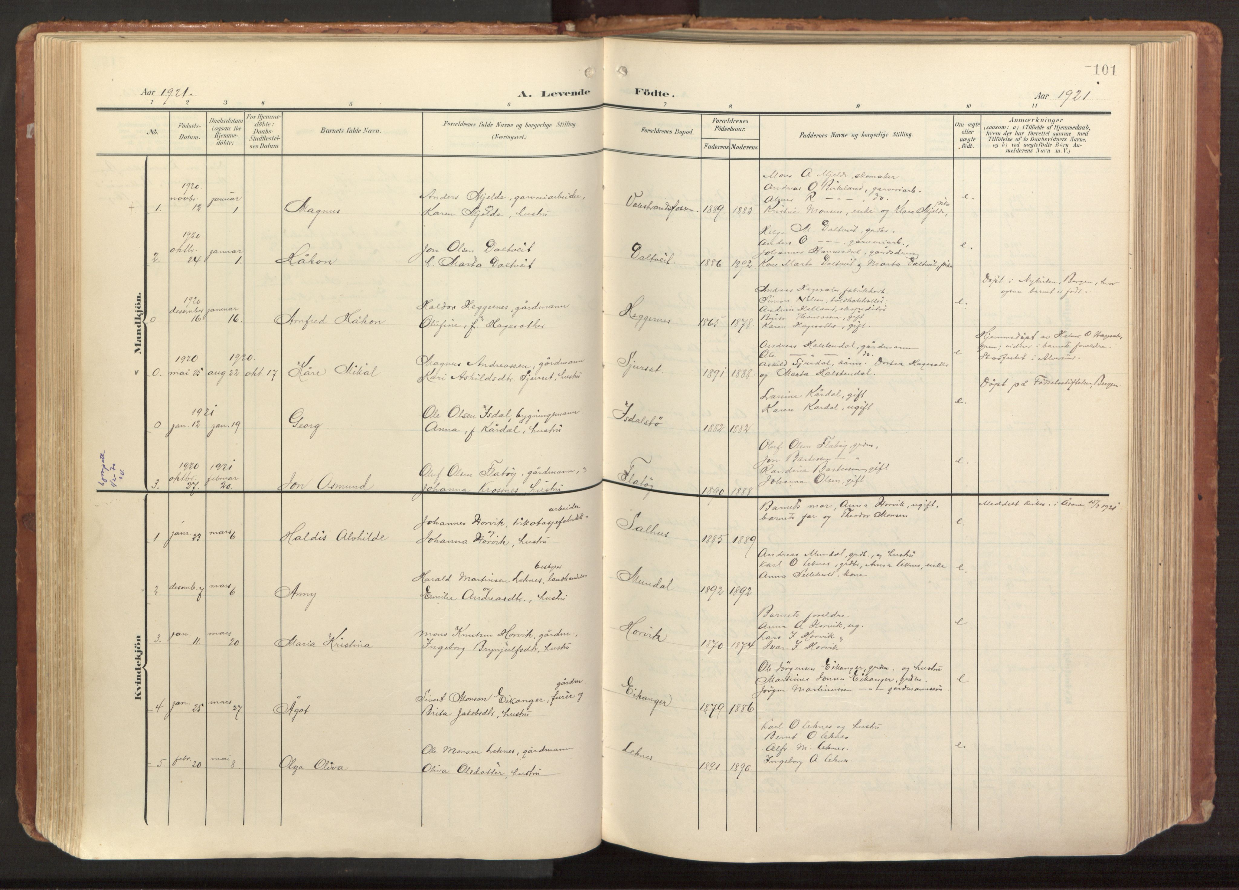 Hamre sokneprestembete, AV/SAB-A-75501/H/Ha/Haa/Haab/L0002: Parish register (official) no. B 2, 1905-1924, p. 101