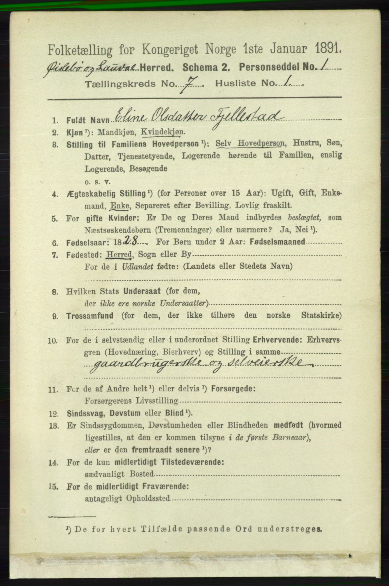 RA, 1891 census for 1021 Øyslebø og Laudal, 1891, p. 1928