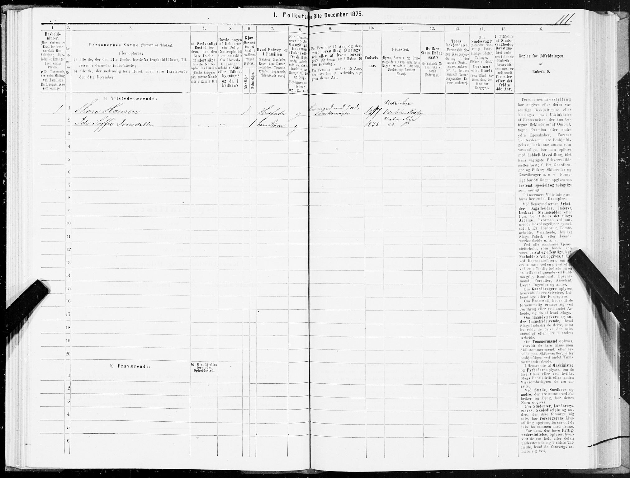 SAT, 1875 census for 1751P Nærøy, 1875, p. 4111