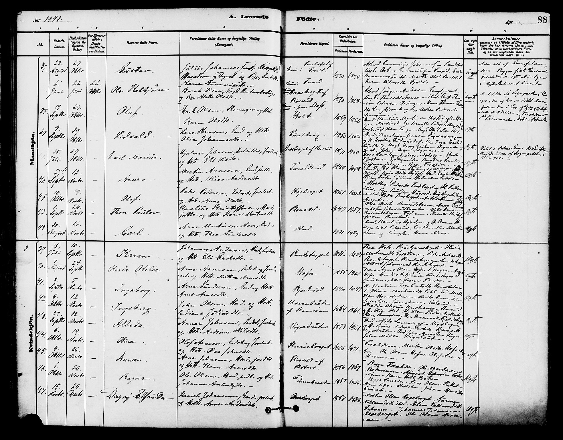 Brandval prestekontor, SAH/PREST-034/H/Ha/Haa/L0002: Parish register (official) no. 2, 1880-1894, p. 88