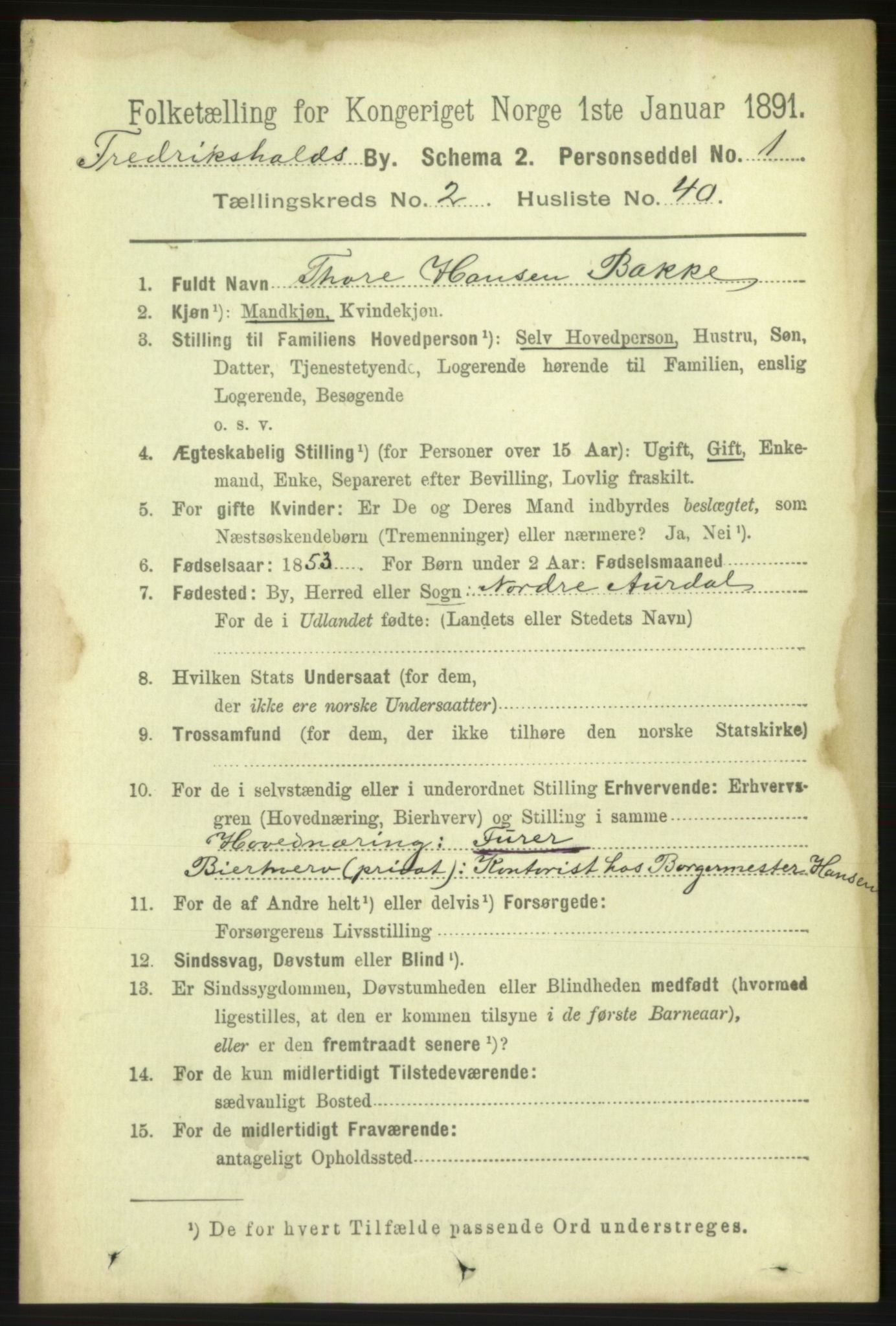 RA, 1891 census for 0101 Fredrikshald, 1891, p. 3184