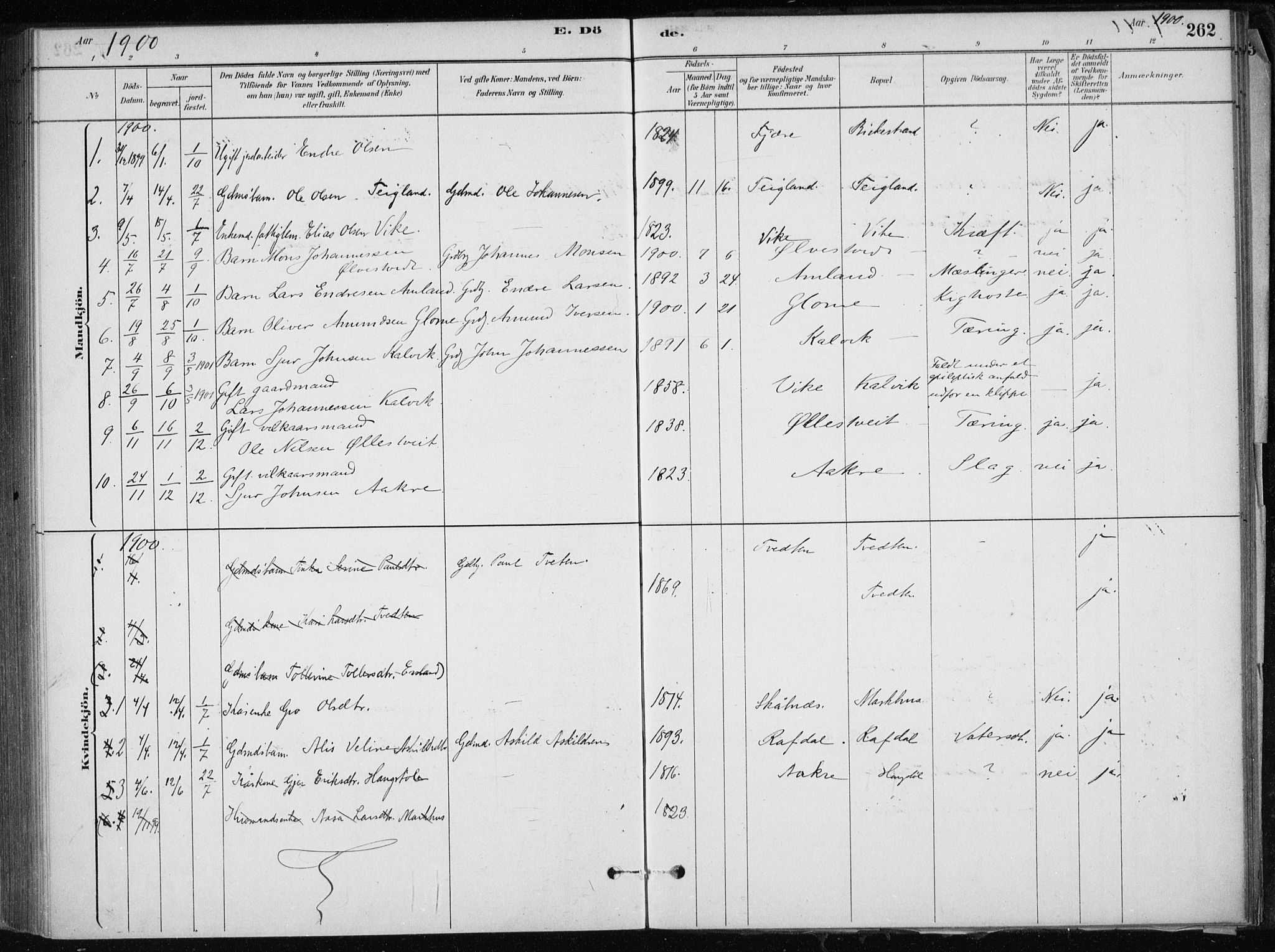 Skånevik sokneprestembete, AV/SAB-A-77801/H/Haa: Parish register (official) no. E  1, 1879-1901, p. 262