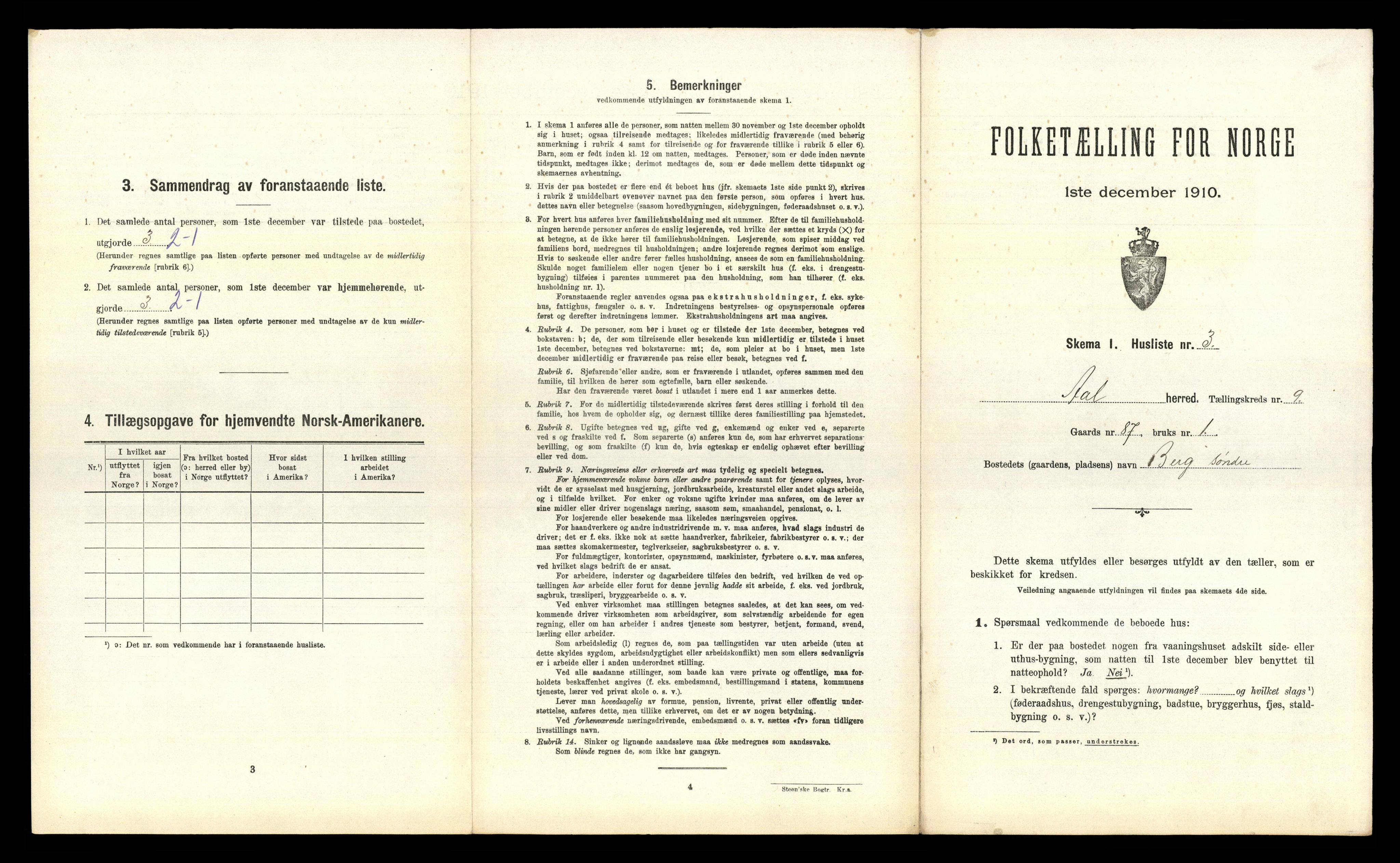 RA, 1910 census for Ål, 1910, p. 845