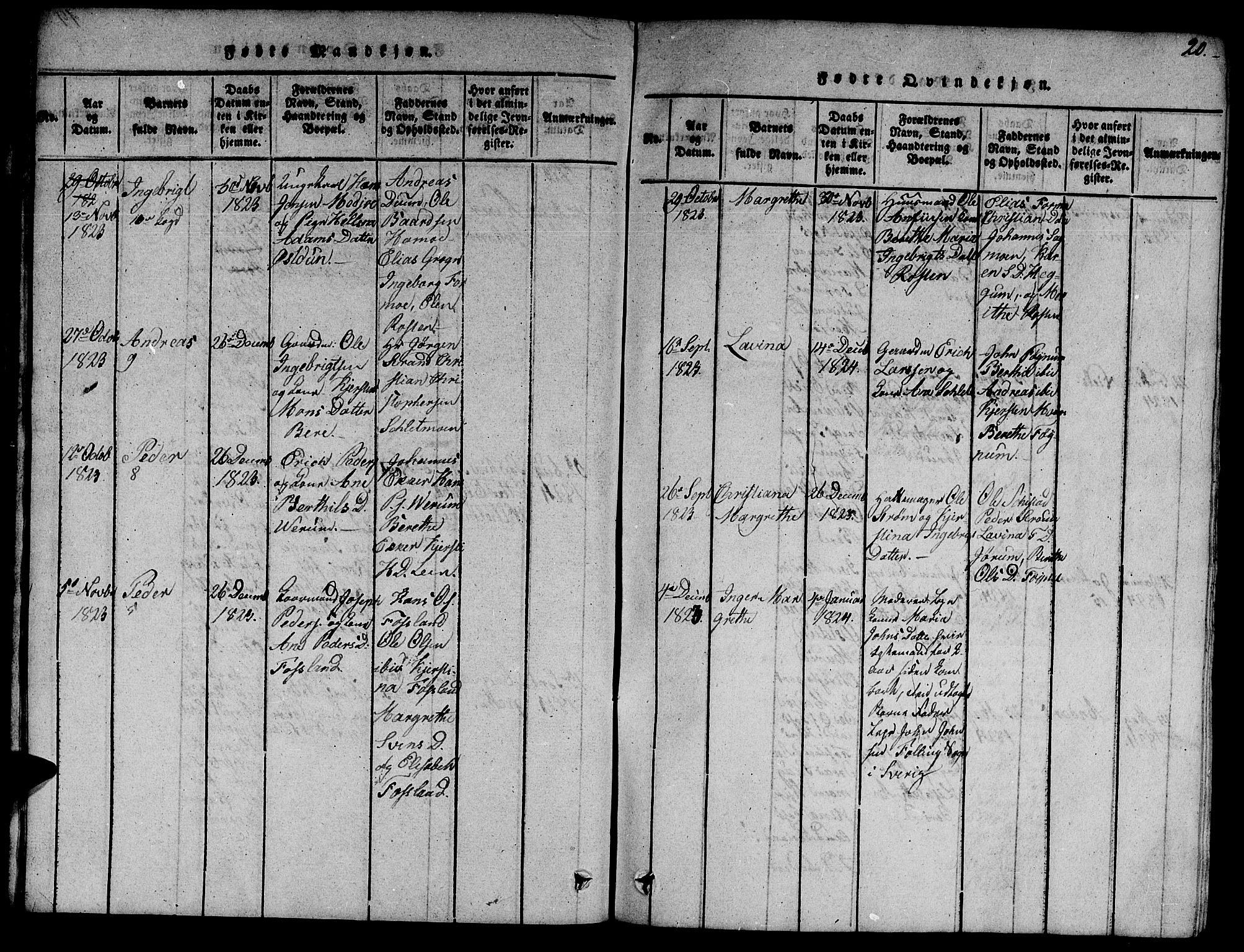 Ministerialprotokoller, klokkerbøker og fødselsregistre - Nord-Trøndelag, SAT/A-1458/758/L0521: Parish register (copy) no. 758C01, 1816-1825, p. 20