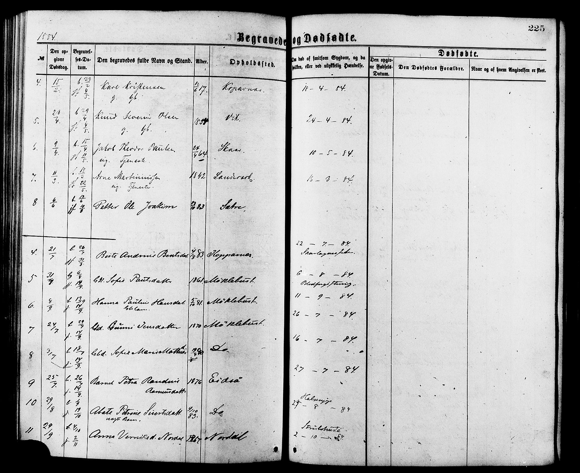 Ministerialprotokoller, klokkerbøker og fødselsregistre - Møre og Romsdal, AV/SAT-A-1454/502/L0024: Parish register (official) no. 502A02, 1873-1884, p. 225